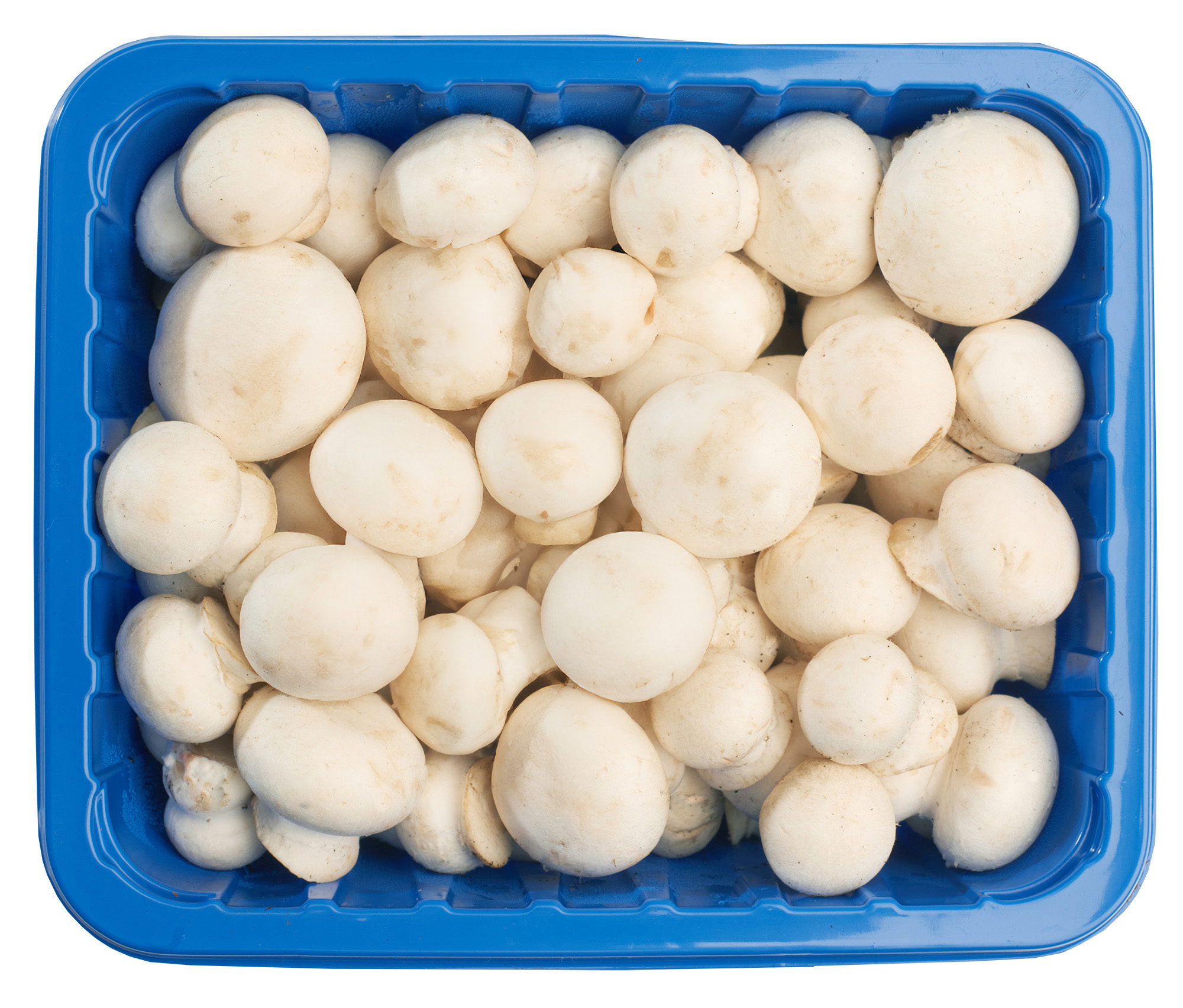 Pieczarka Mini Polska 250G