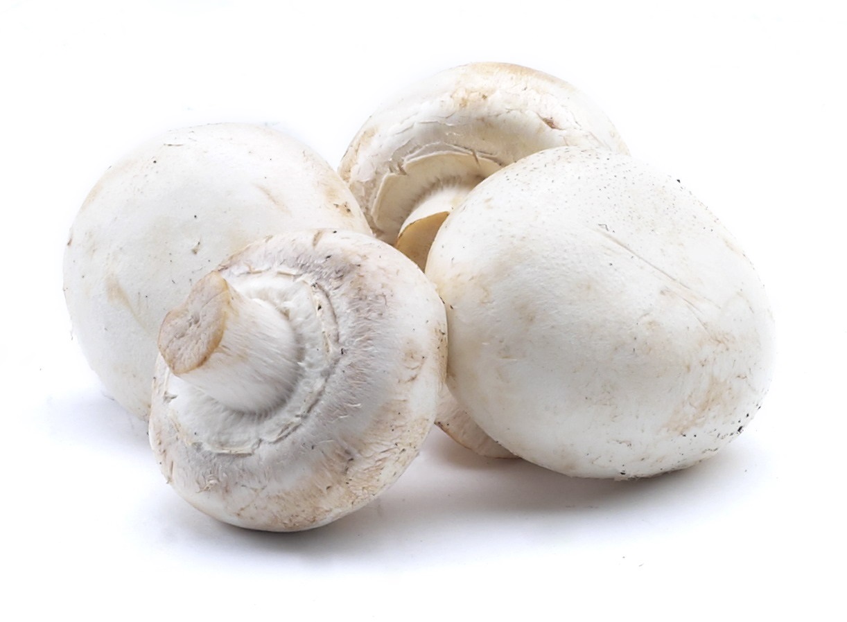 Pieczarka Polska 500G