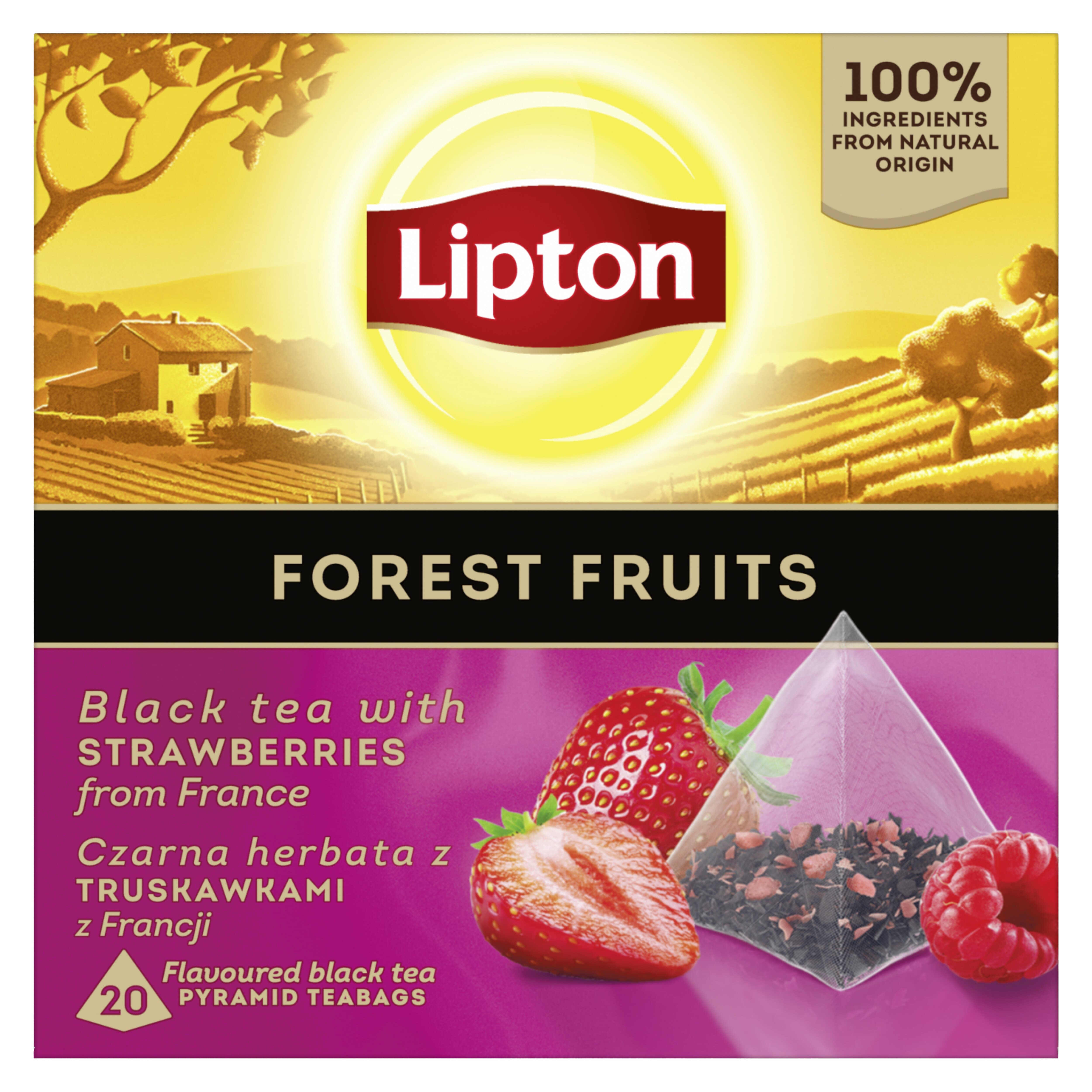 Lipton Piramidka Forest Fruits 20Tb
