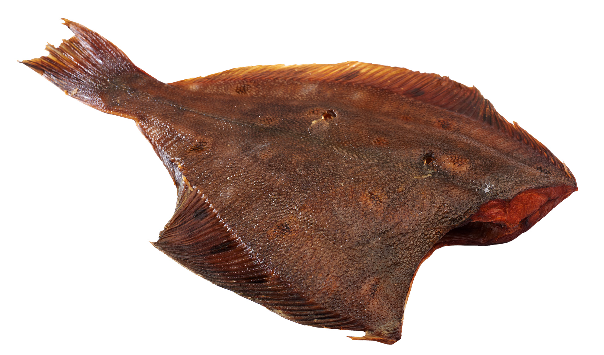 Gładzica Tusza Wędzona Ok. 550G
