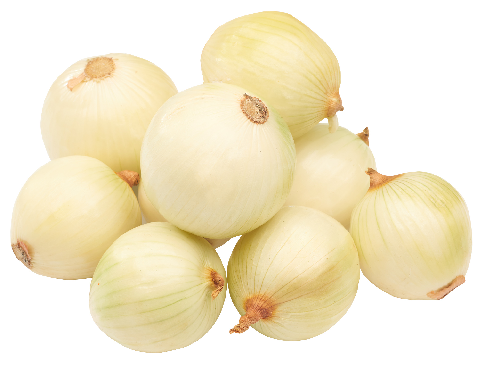 Cebula Bez Łuski Polska 5Kg