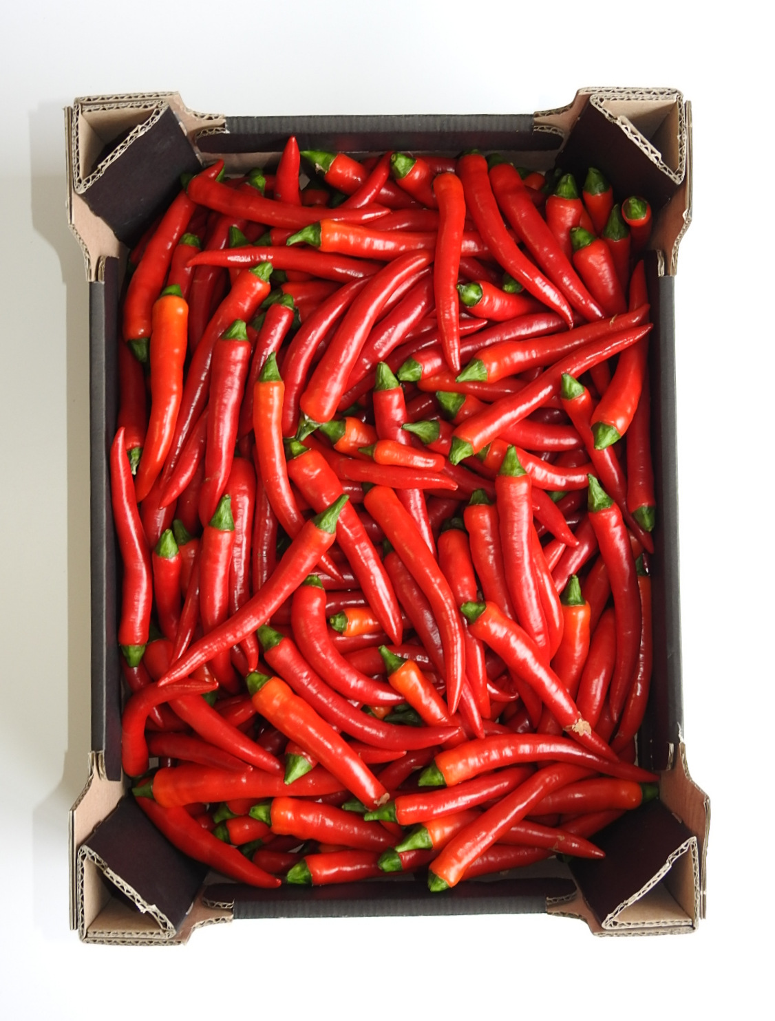 Papryka Peperoni Czerwona Ostra Holandia 3Kg