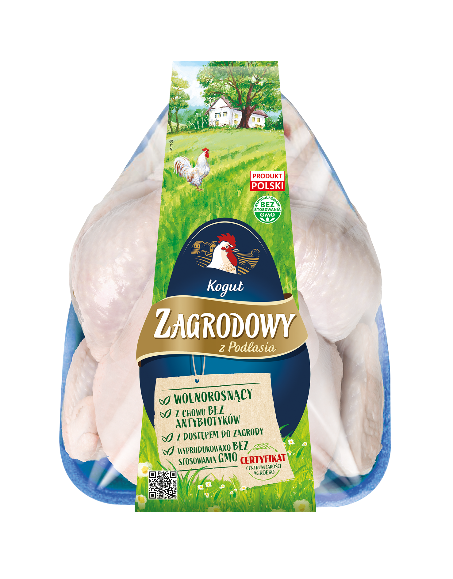Kogut Zagrodowy, Tacka Duża Ok. 1,8 Kg