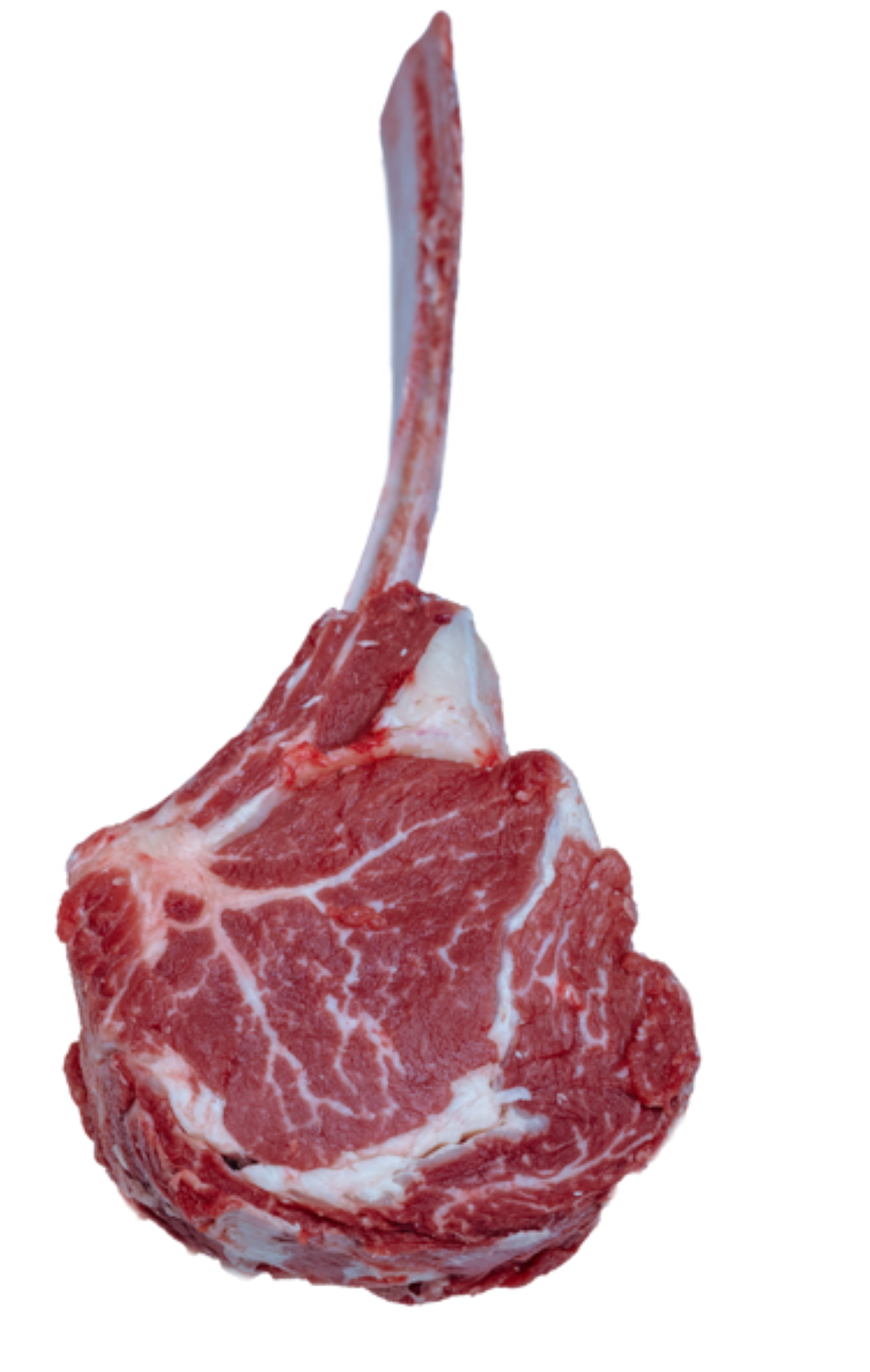 Abp Tomahawk Z Antrykotu Wołowego Marmurek Bms3+ Ok 1 Kg