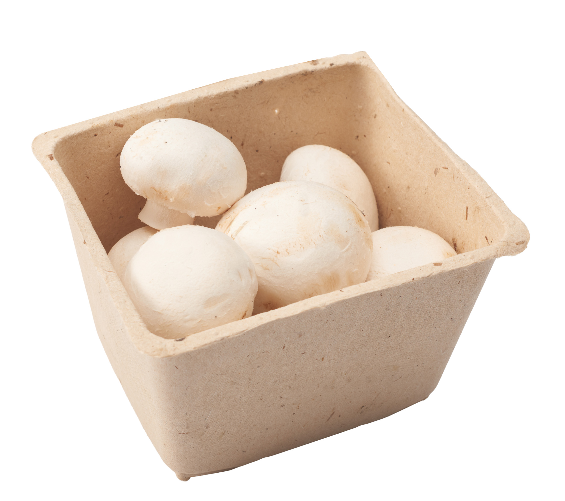 Pieczarka Polska 250G East Mushrooms