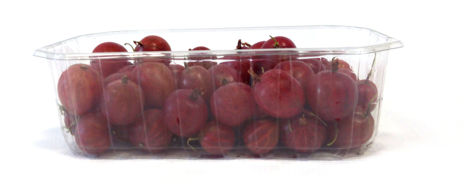 Agrest Czerwony Polska 500G