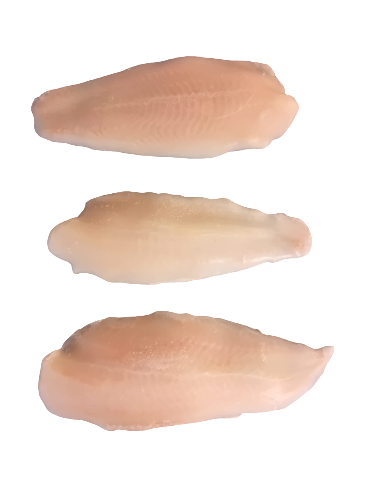 Koral Panga Sum Filety Bez Skóry Z Woda Dodaną, Głęboko Mrożone, Glazurowane 20% 4Kg/5Kg