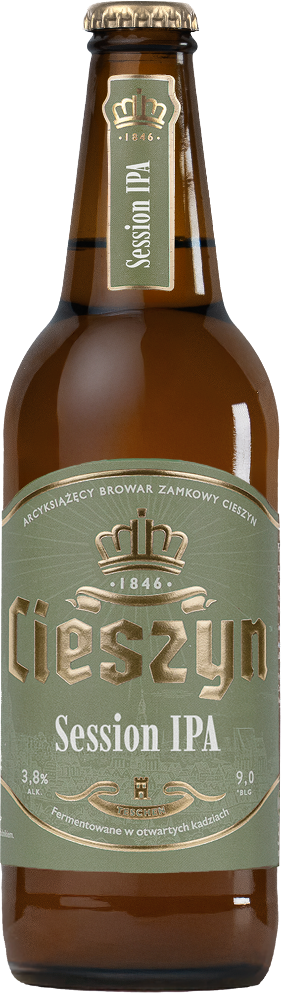 Cieszyn Session Ipa 500 Ml