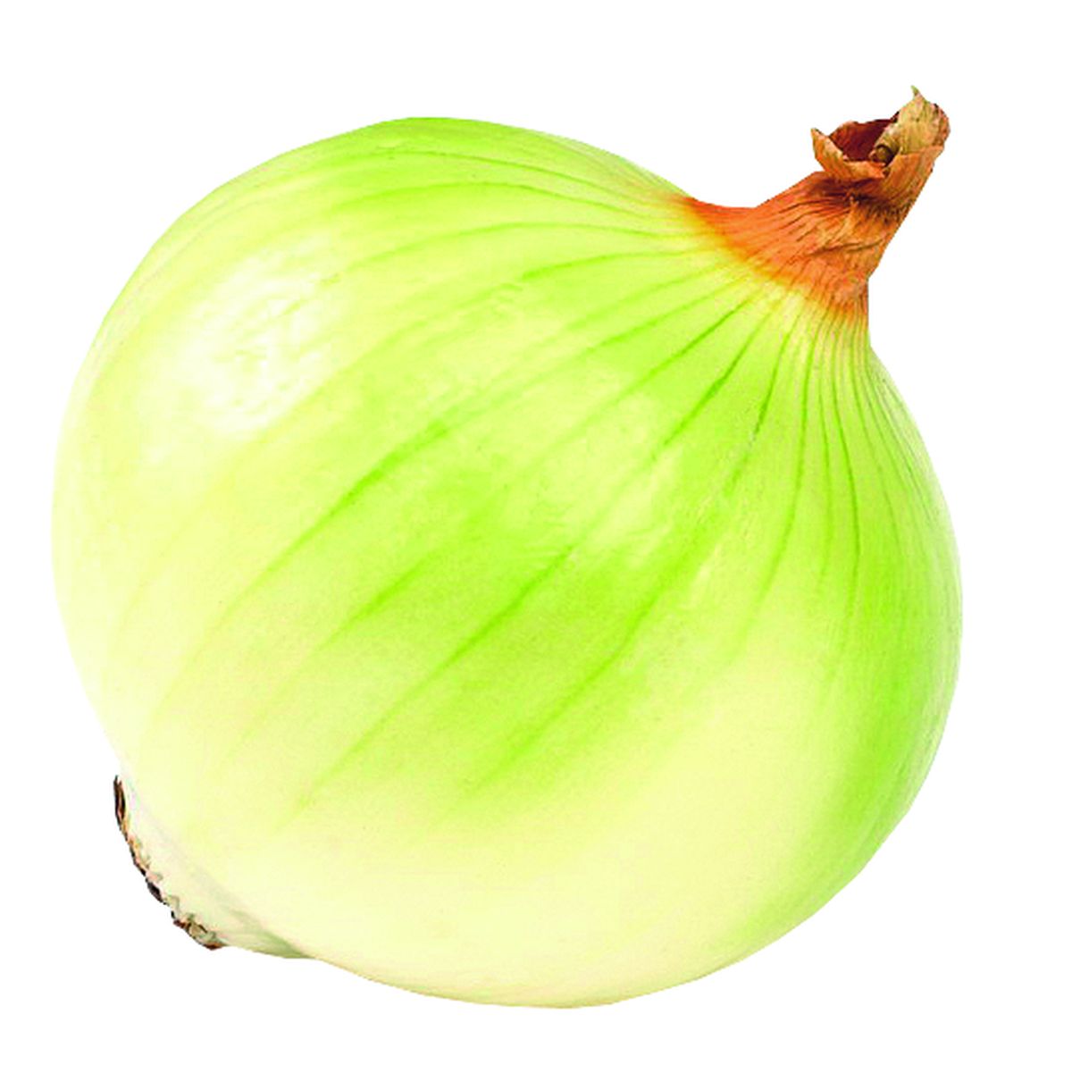 Cebula Bez Łuski Polska 1Kg