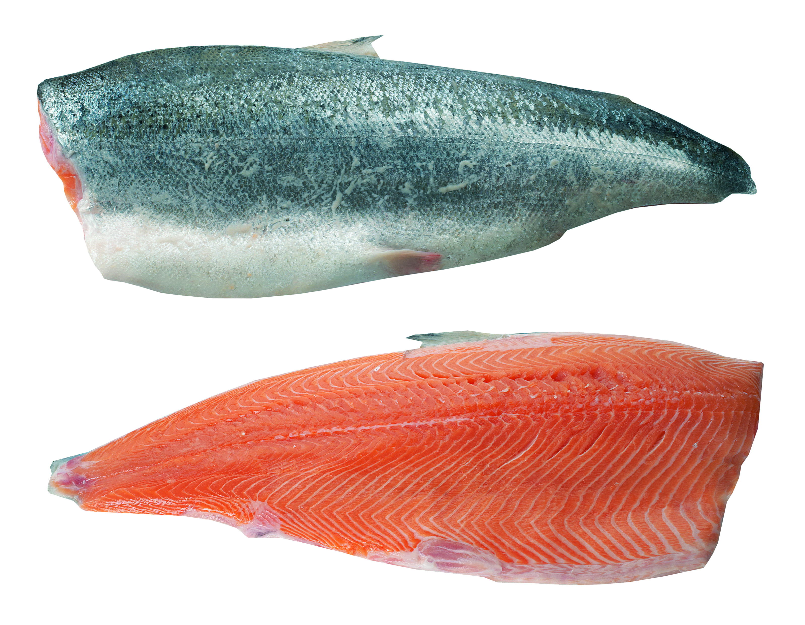 Łosoś Filet Ze Skórą A-Trym Ok. 1,2-1,5Kg