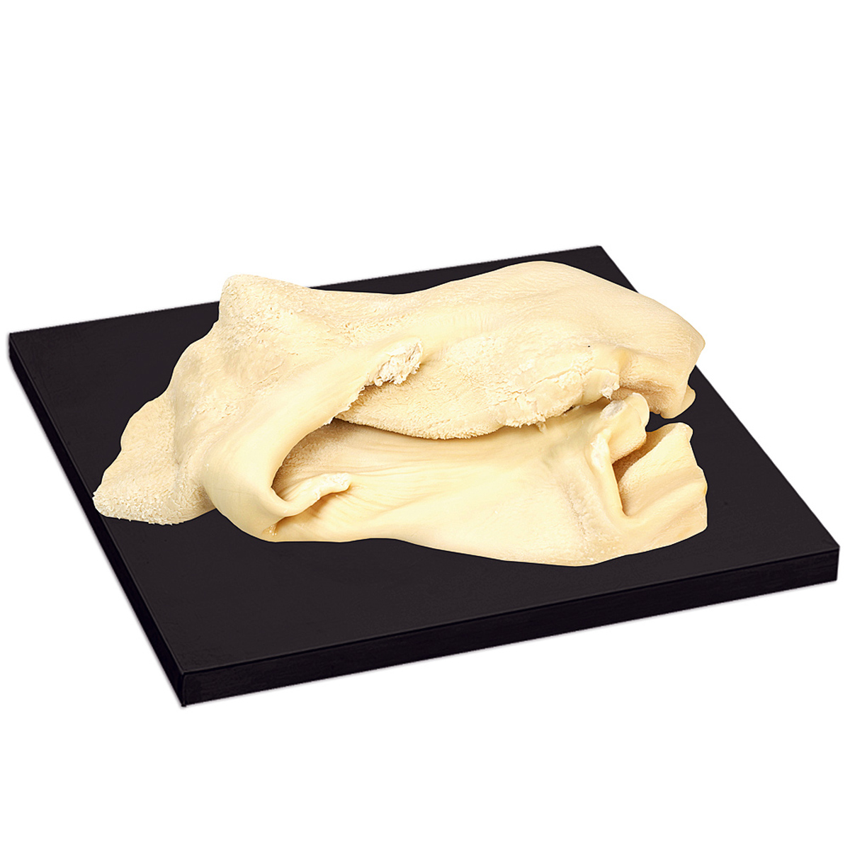 Flaki Wołowe Bielone, Mięsne Specjały Vacuum Ok. 3 Kg