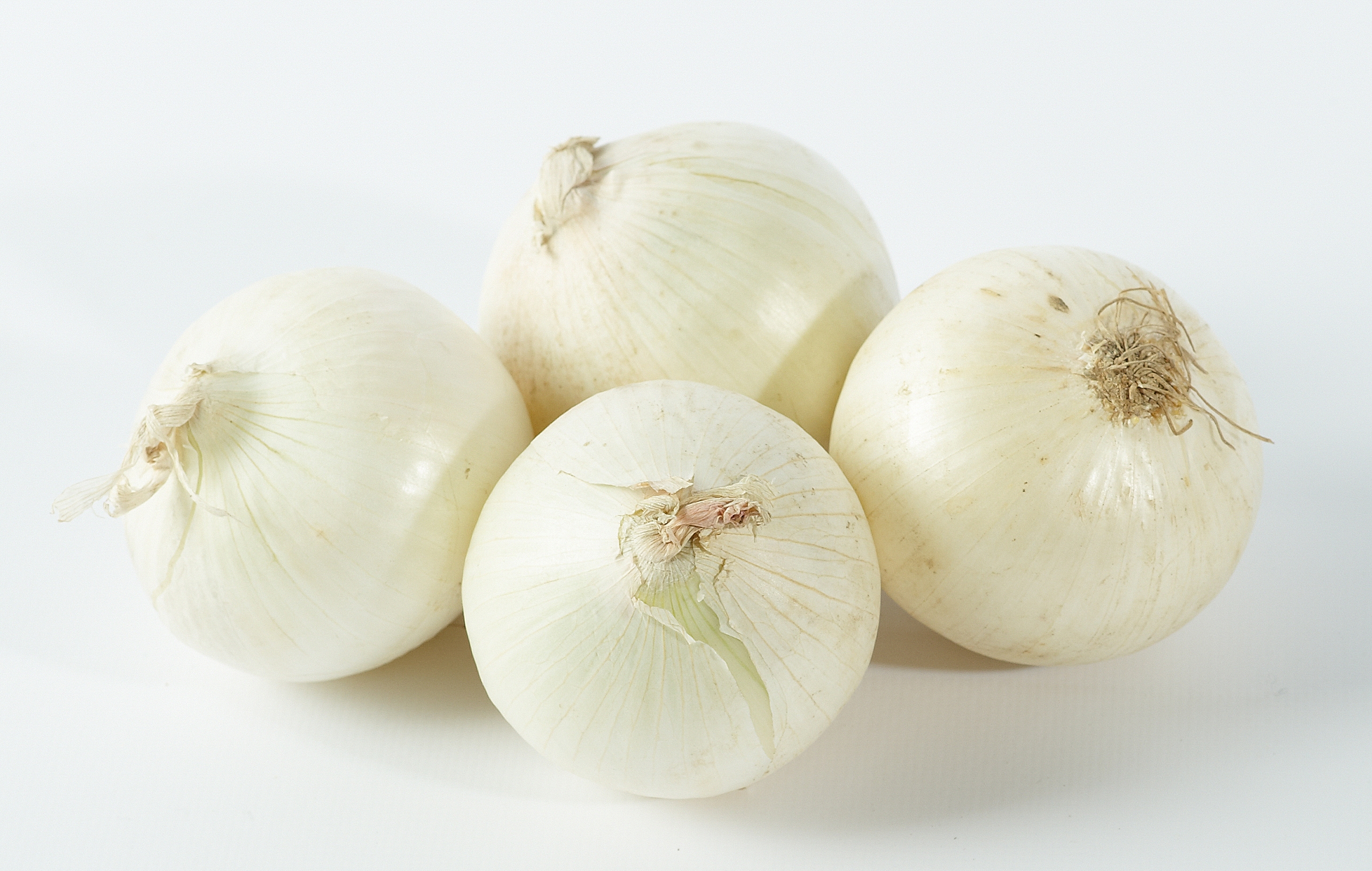 Cebula Czosnkowa Włochy 10Kg