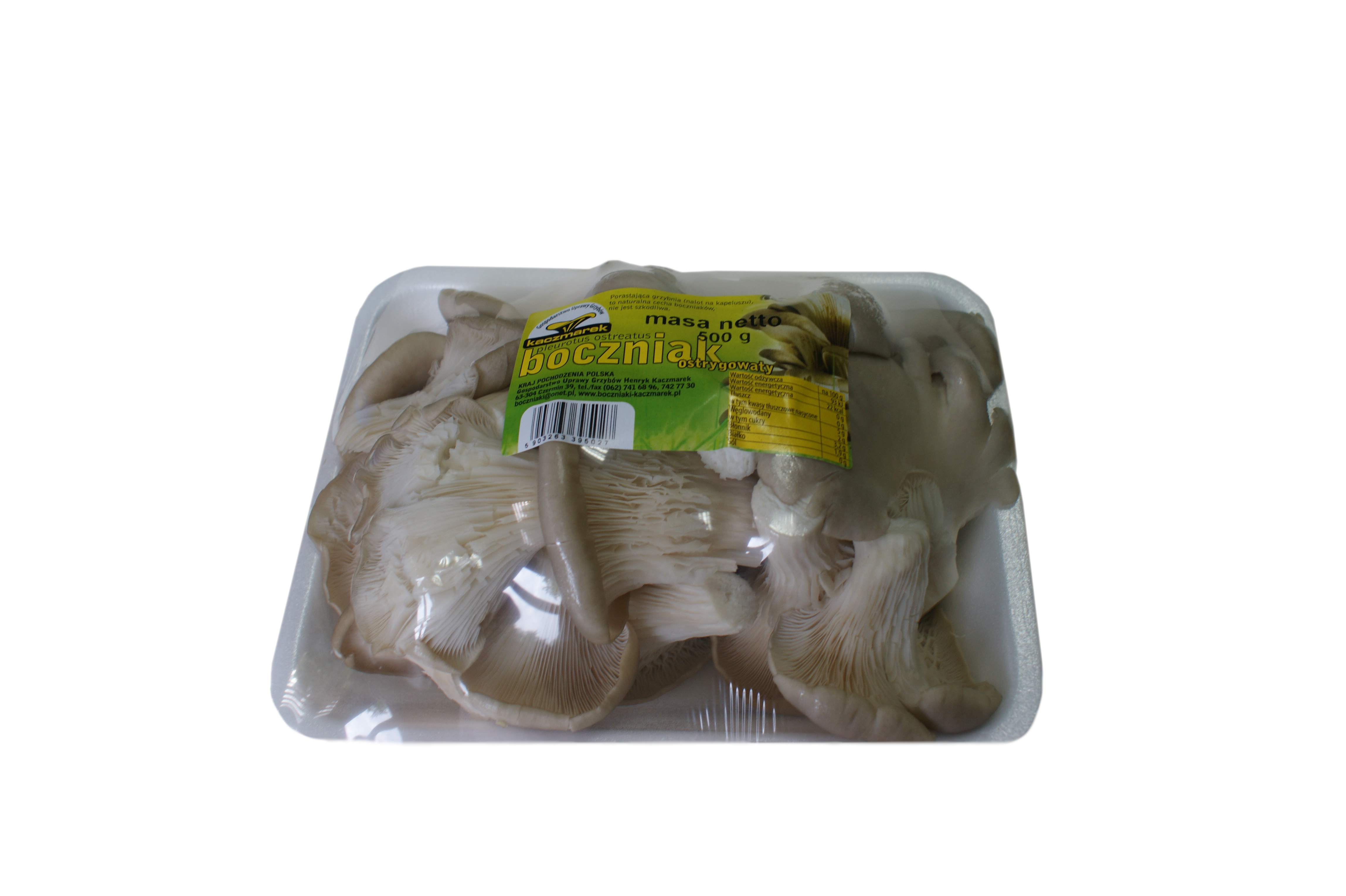 Boczniak Polska 500G