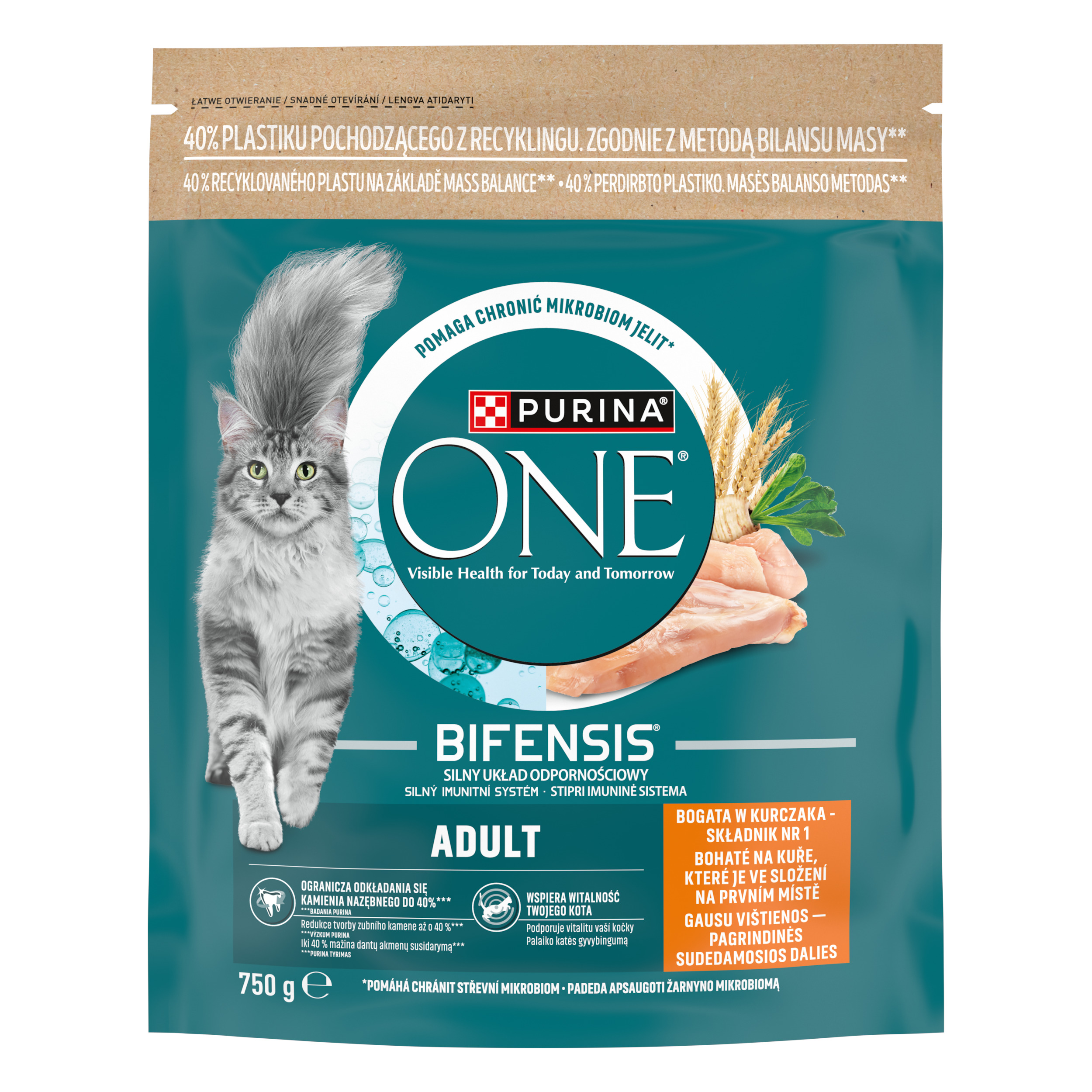 Purina One Adult Bogata W Kurczaka I Pełne Ziarna 750 G