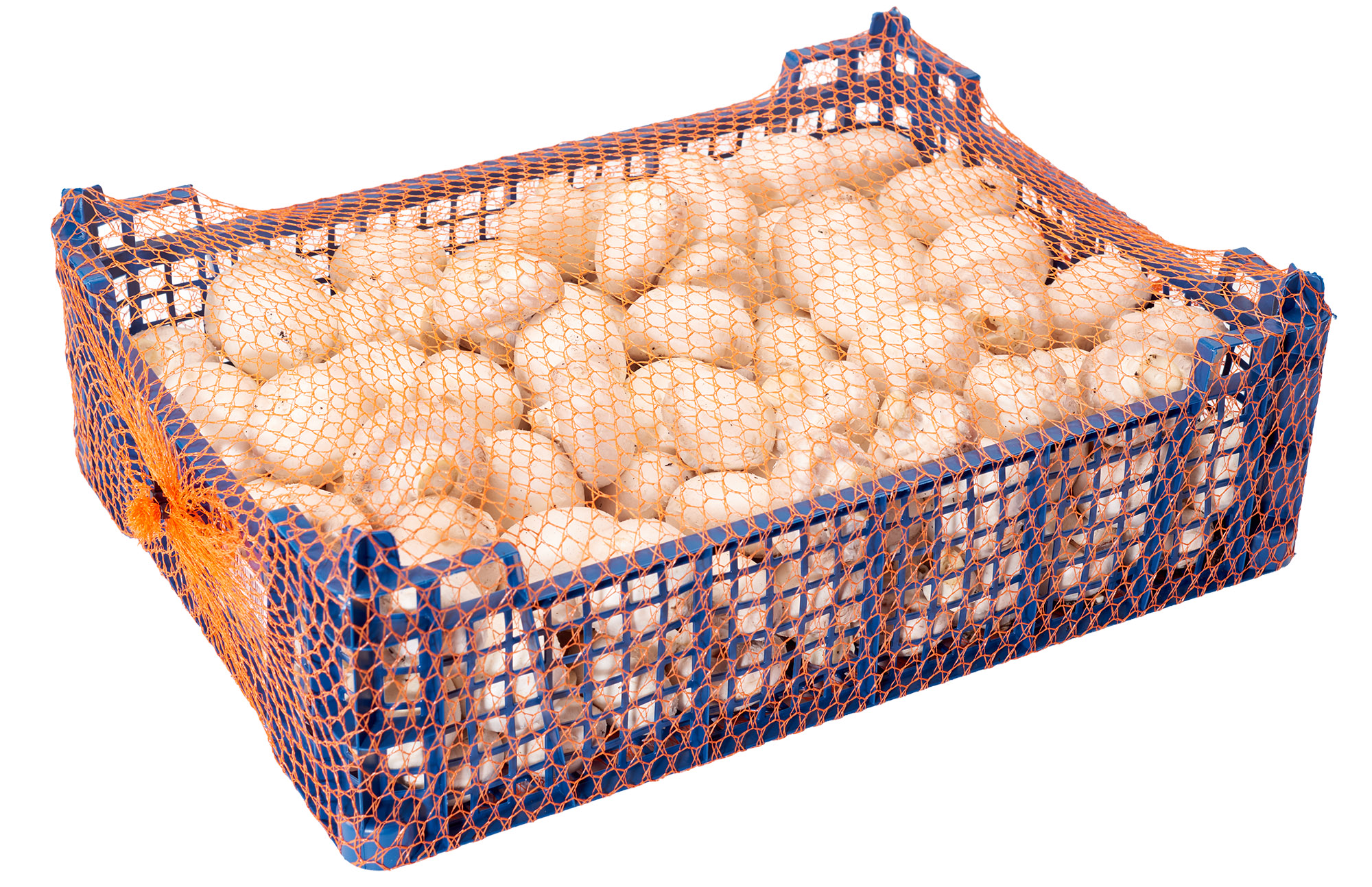 Pieczarka Horeca Polska 3Kg