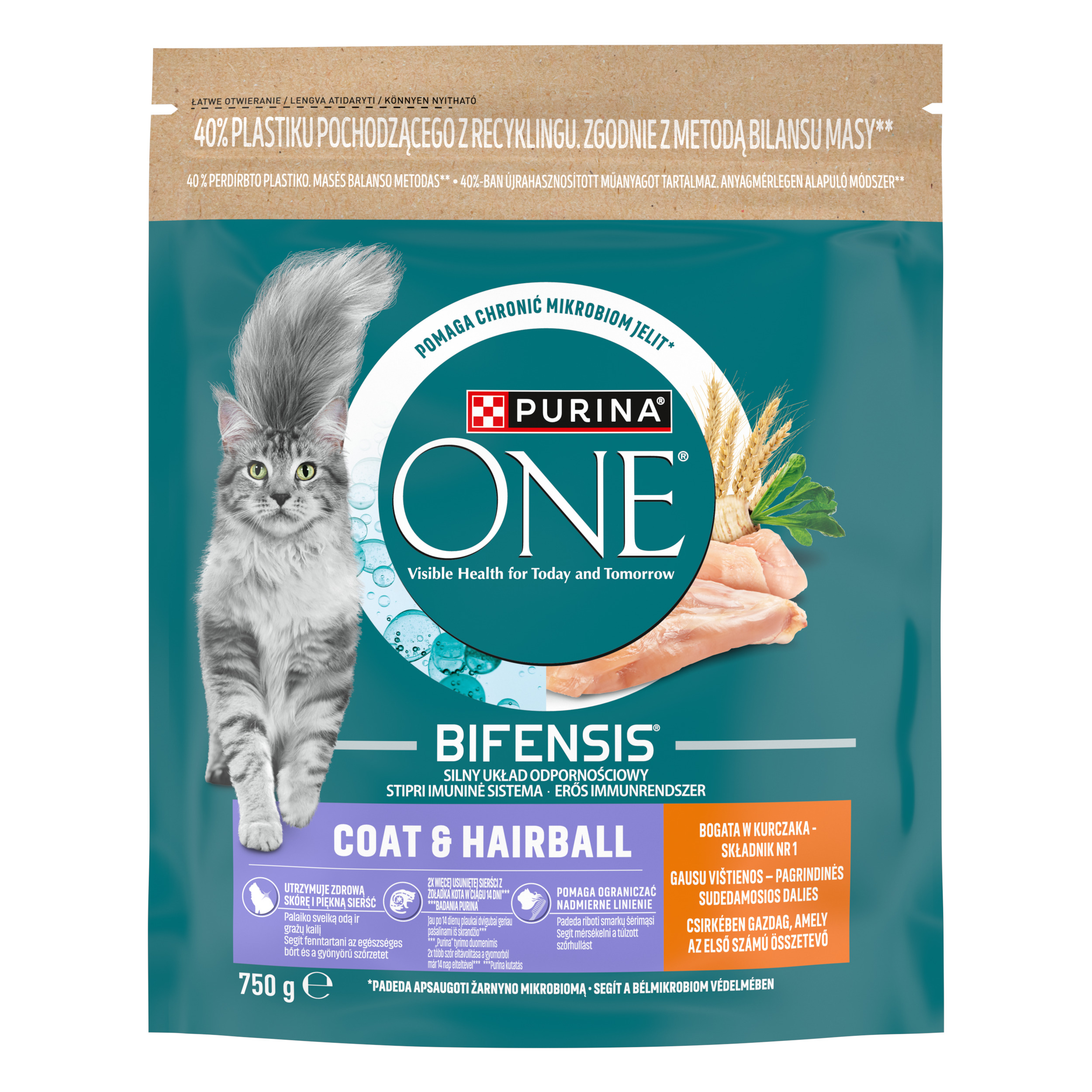 Purina One Coat & Hairball Kurczak 750 G