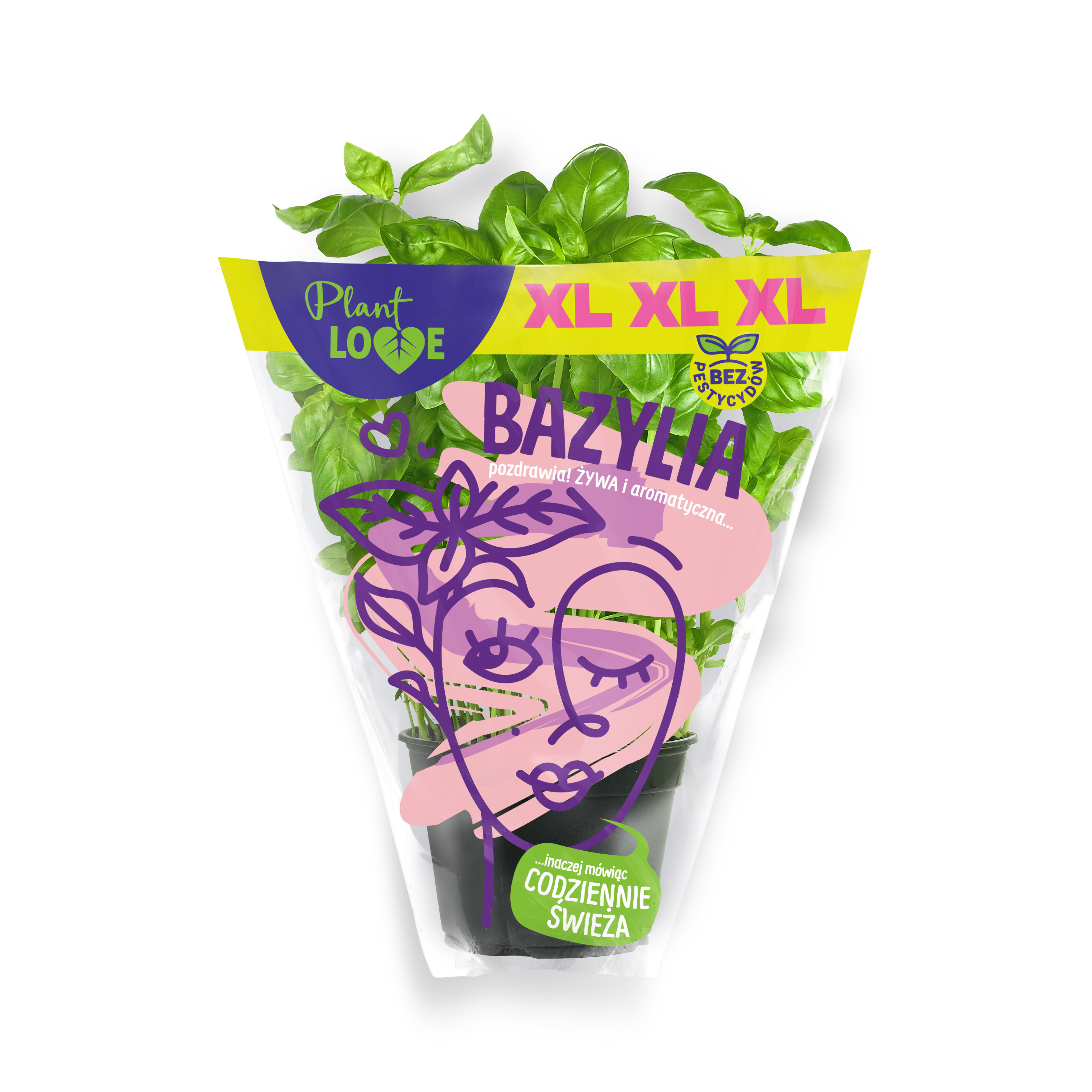 Bazylia Xl Doniczka Polska 1Szt Plant Love