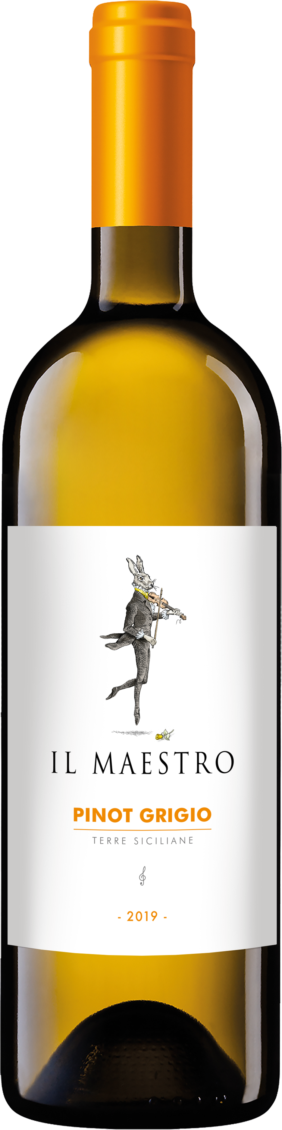 Il Maestro Pinot Grigio 750Ml Wino Białe Wytrawne