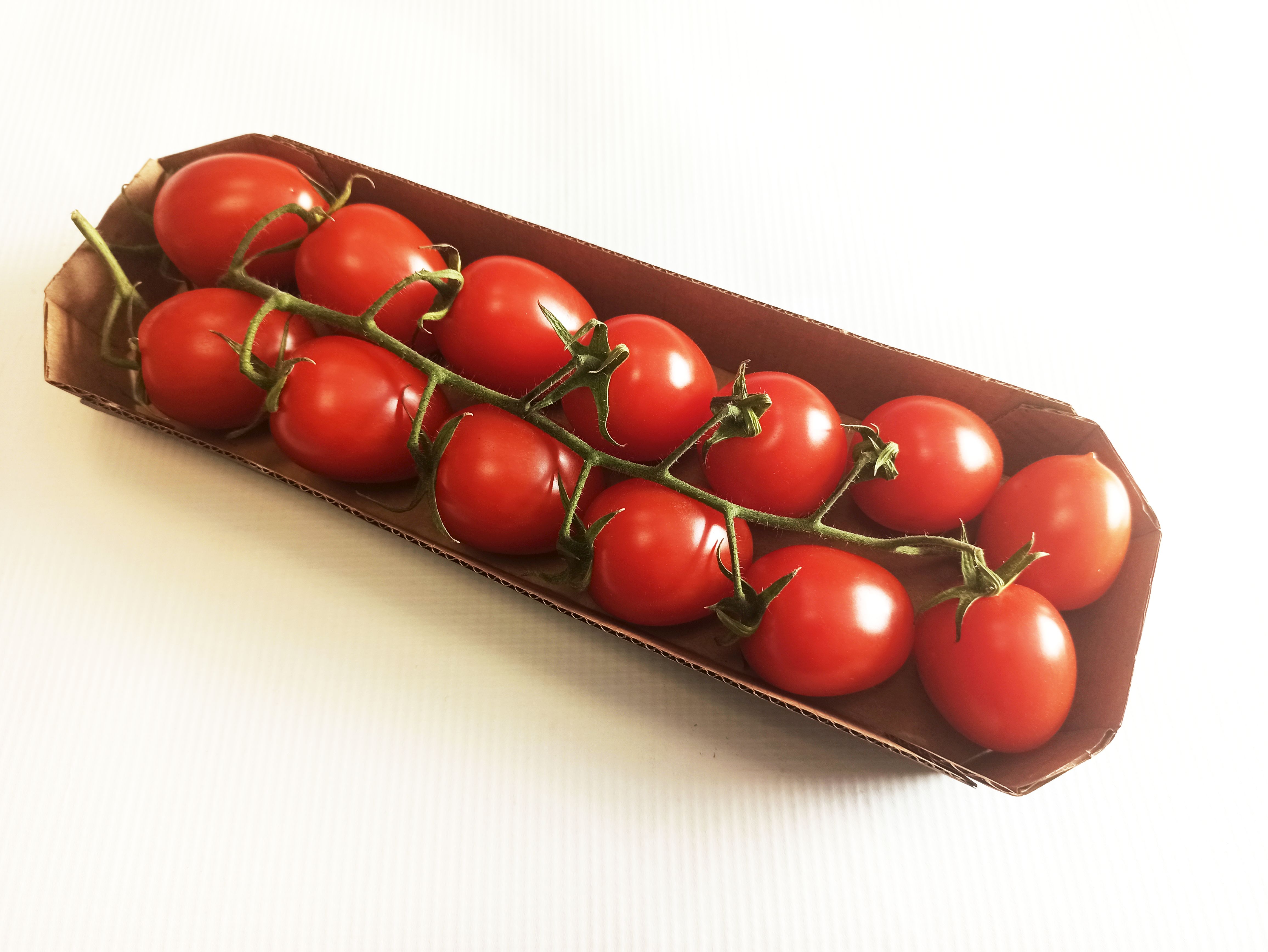 Pomidor Piccadilly Gałązka Czerwona Klasa I Włochy 400G