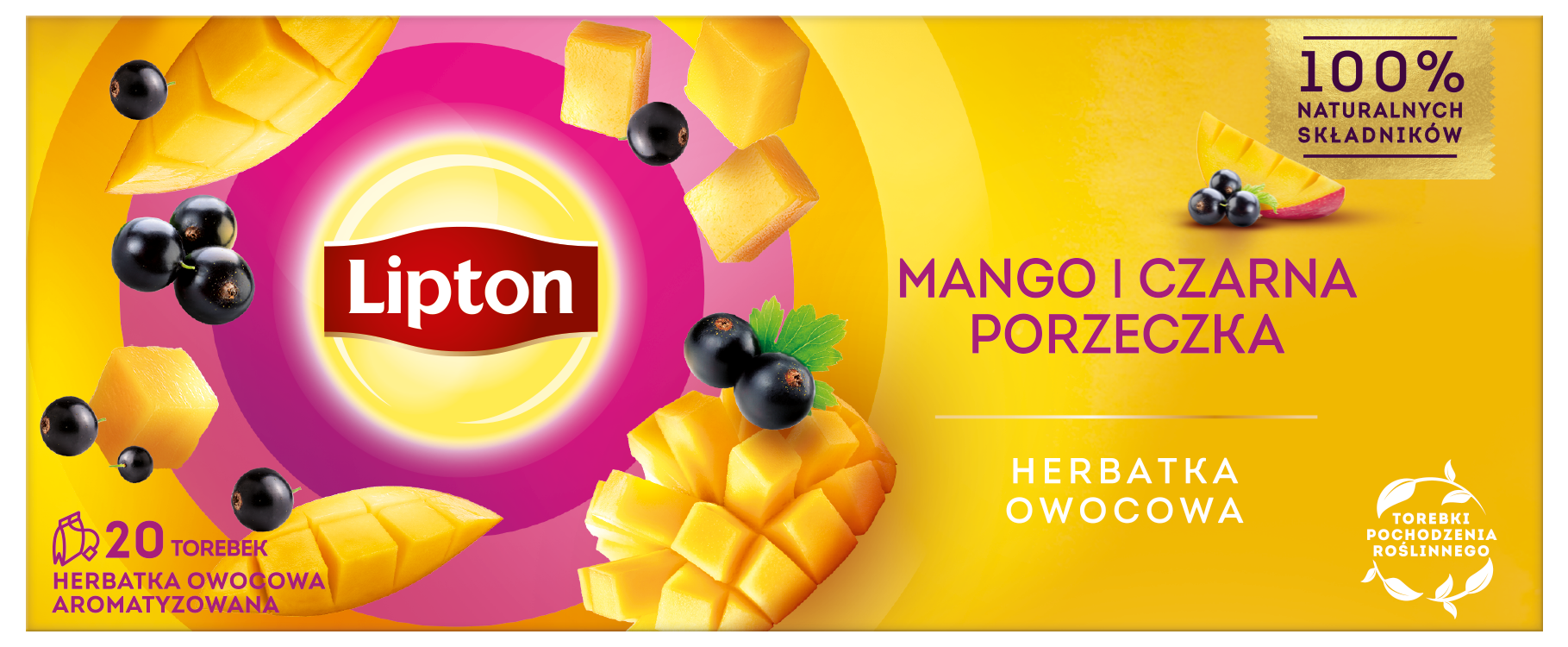 Lipton Fruit Mango I Czarna Porzeczka 20Tb