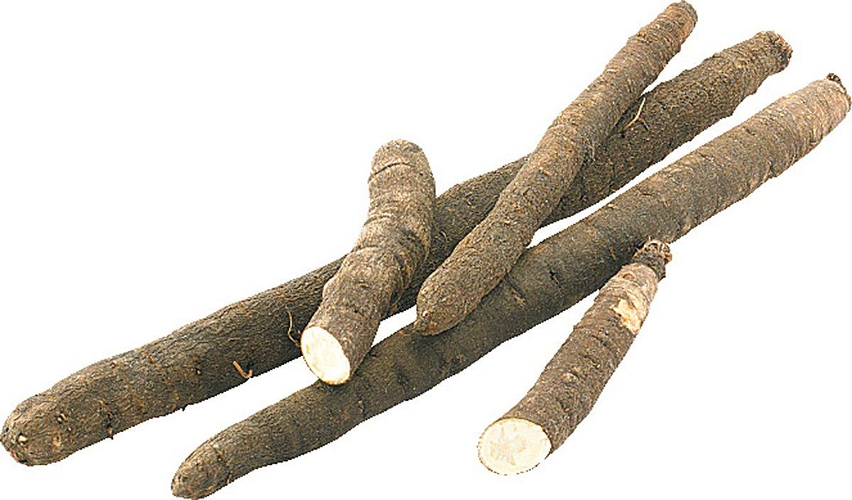 Skorzonera Holandia 1Kg