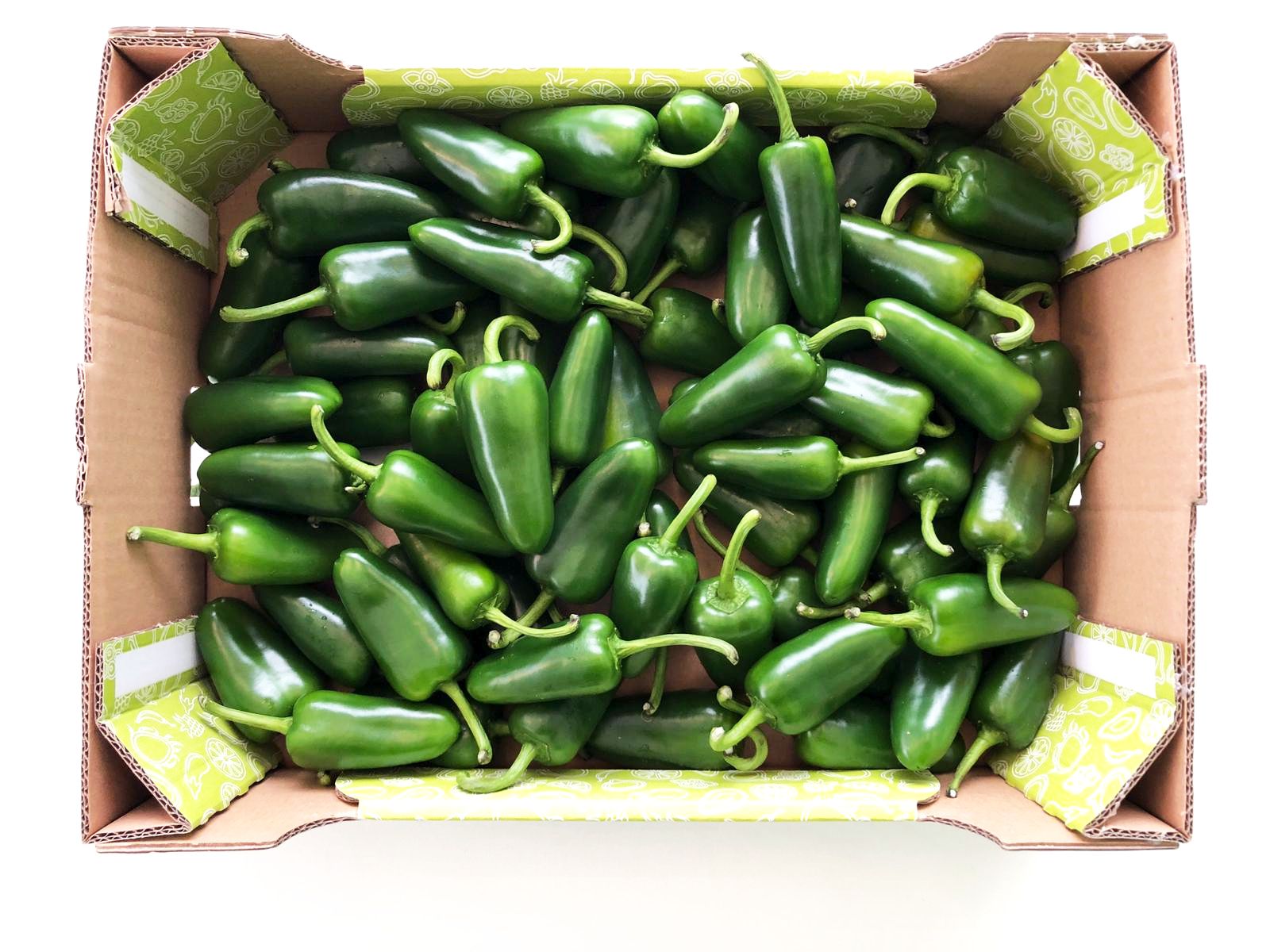 Papryka Ostra Jalapeno Holandia Luz