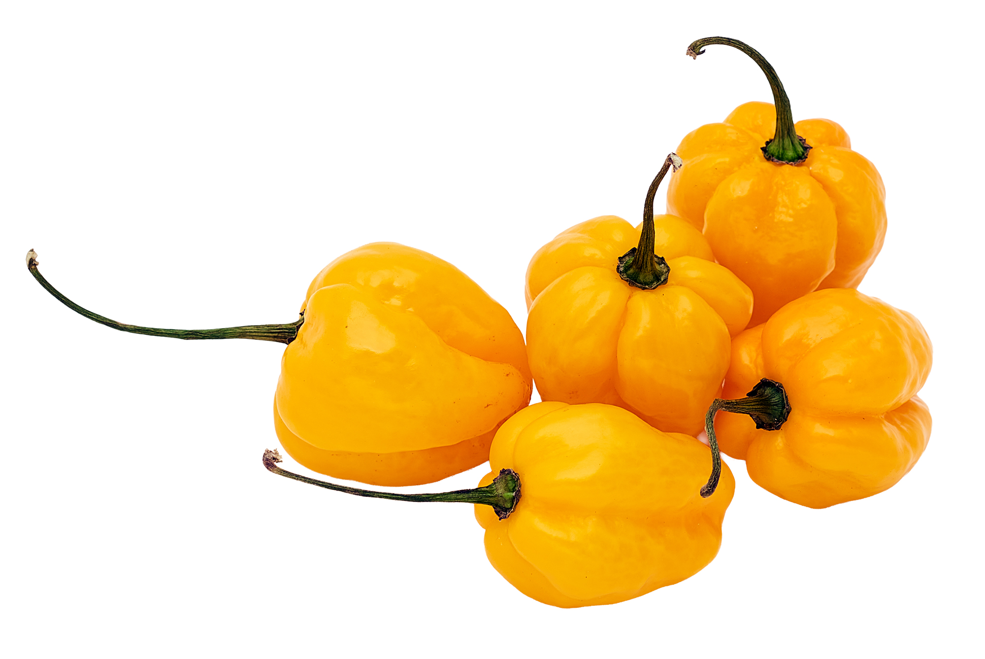 Papryka Ostra Habanero Żółta Holandia 75G
