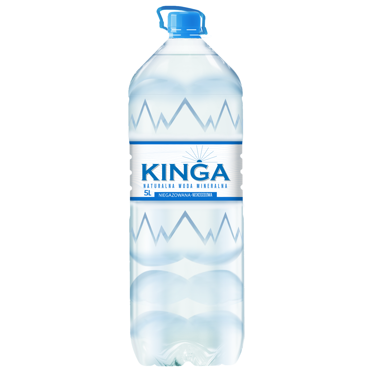Kinga Pienińska Niegazowana 5L