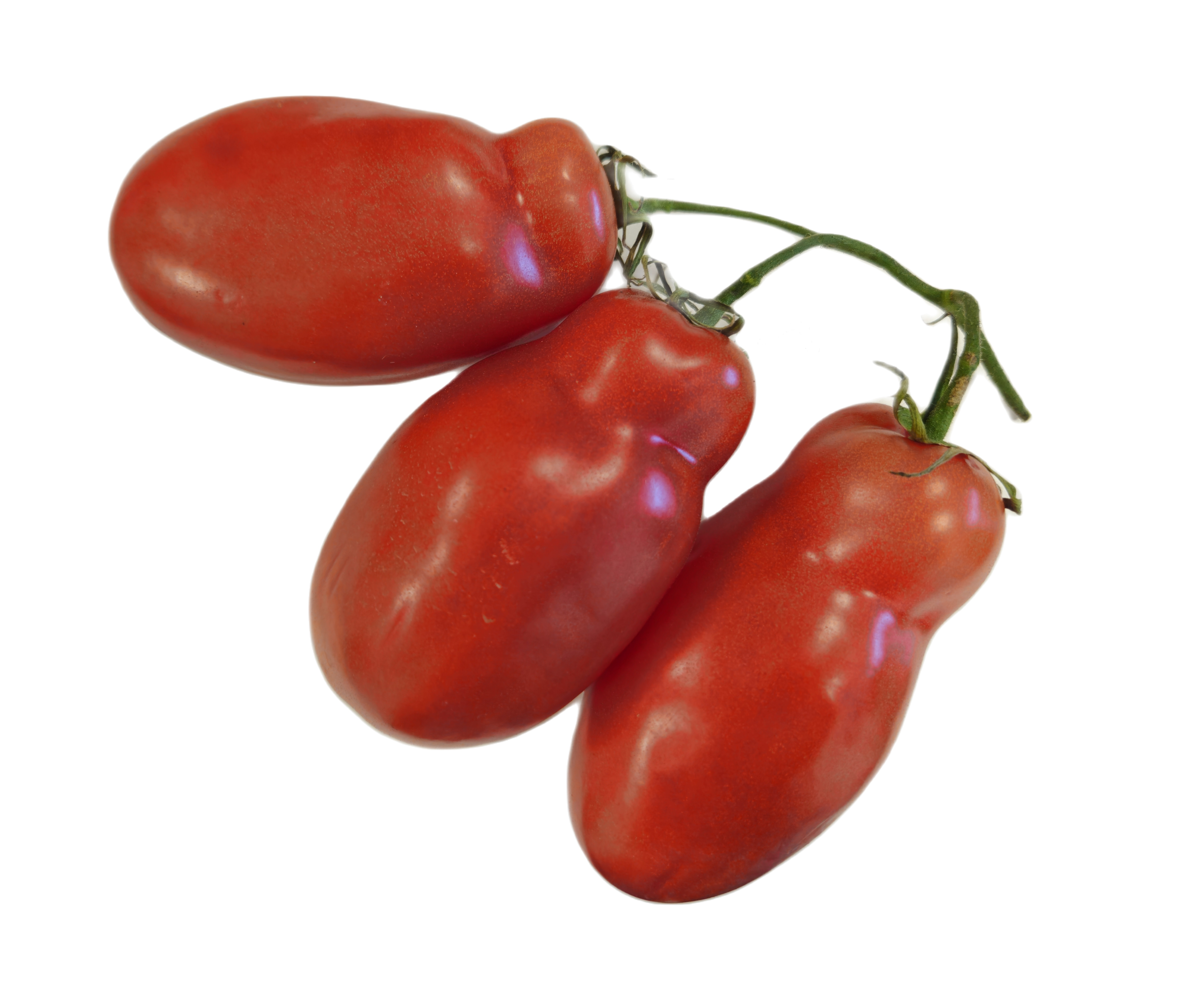 Pomidor San Marzano Czerwony Klasa I Włochy 1Kg