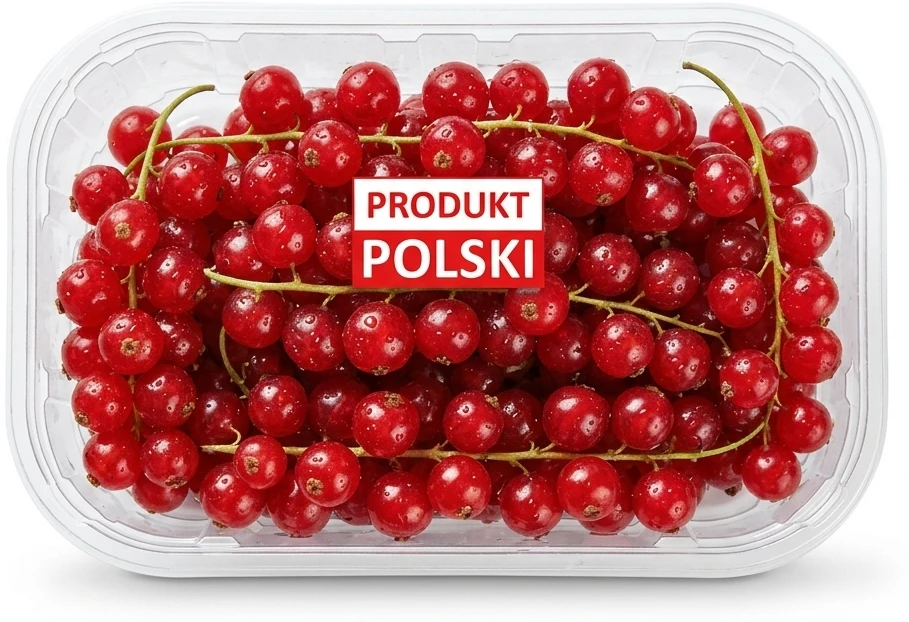 Polskie porzeczki czerwone