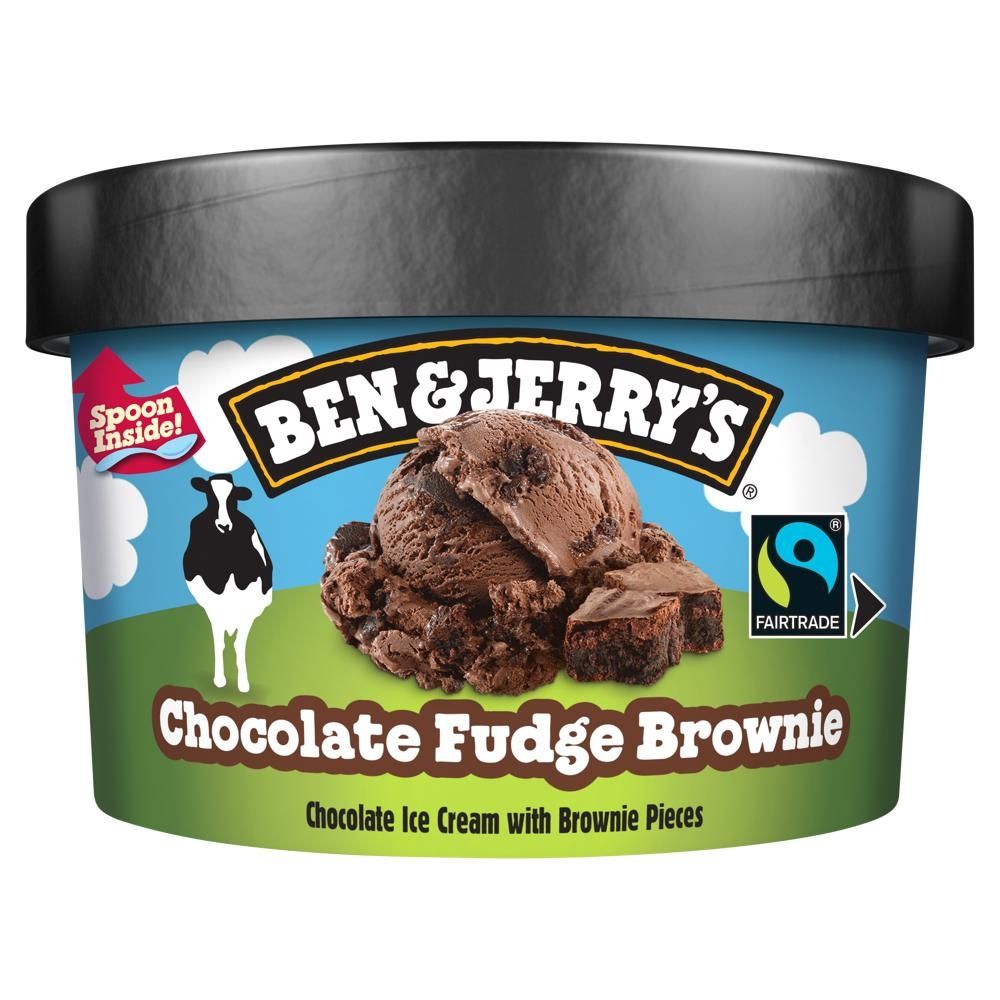 Ben & Jerry's Chocolate Fudge Brownie Lody 100 ml