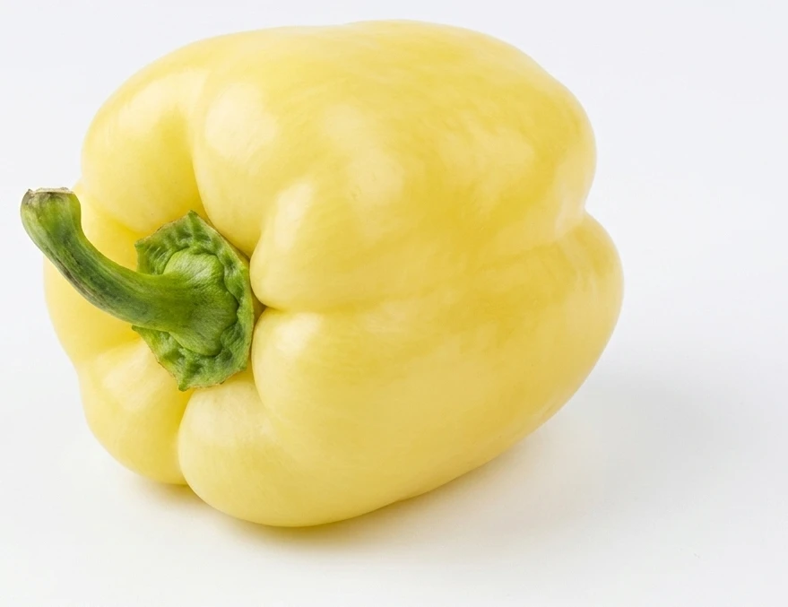 Papryka biała