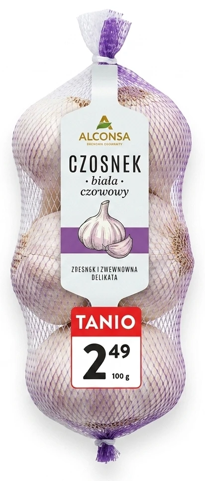 Czosnek