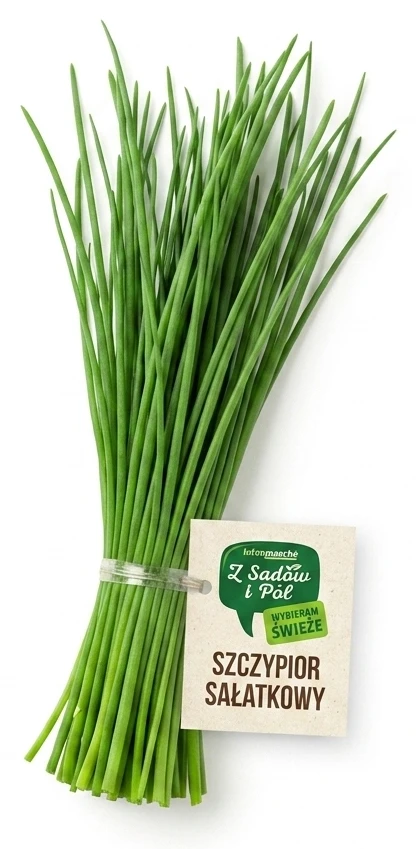 Szczypior sałatkowy