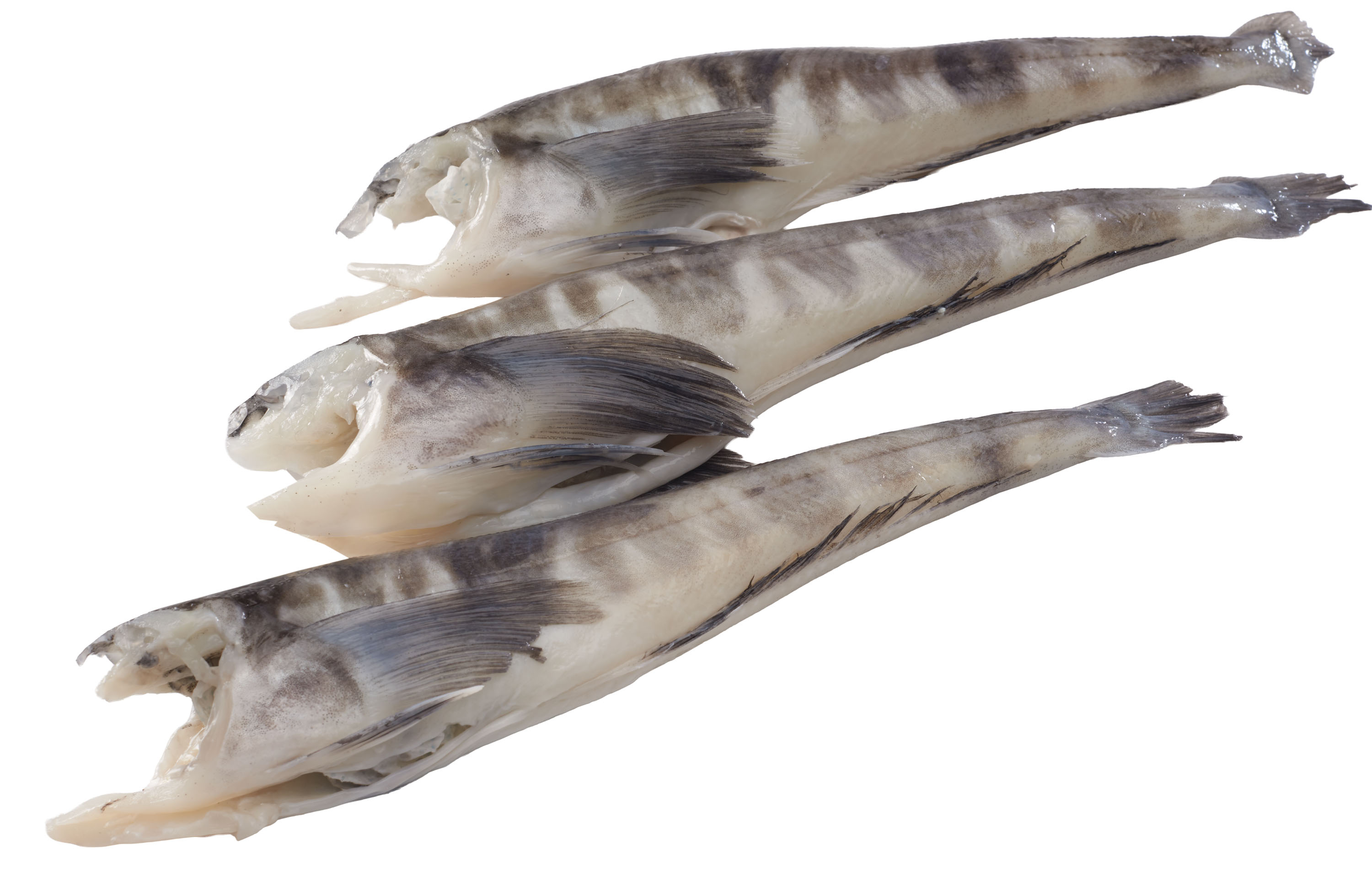 Kergulena Tusza 80-250G