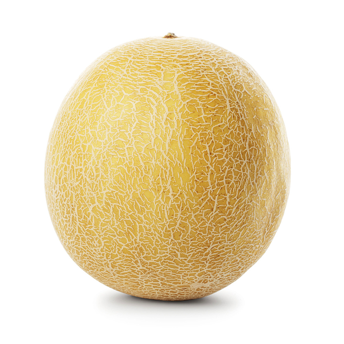 Melon Galia (6) Hiszpania 1Szt