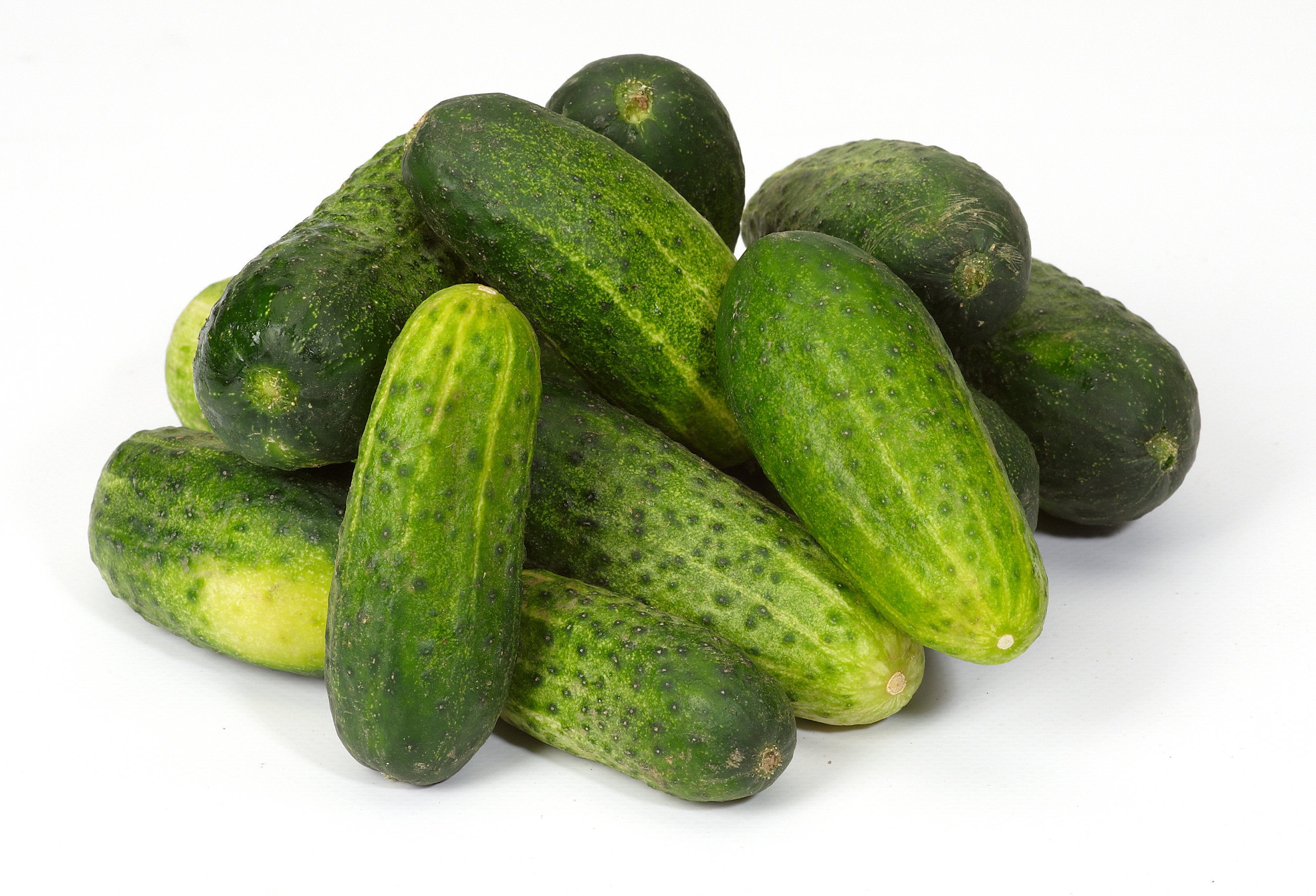 Bio Ogórek Gruntowy Polska 500G