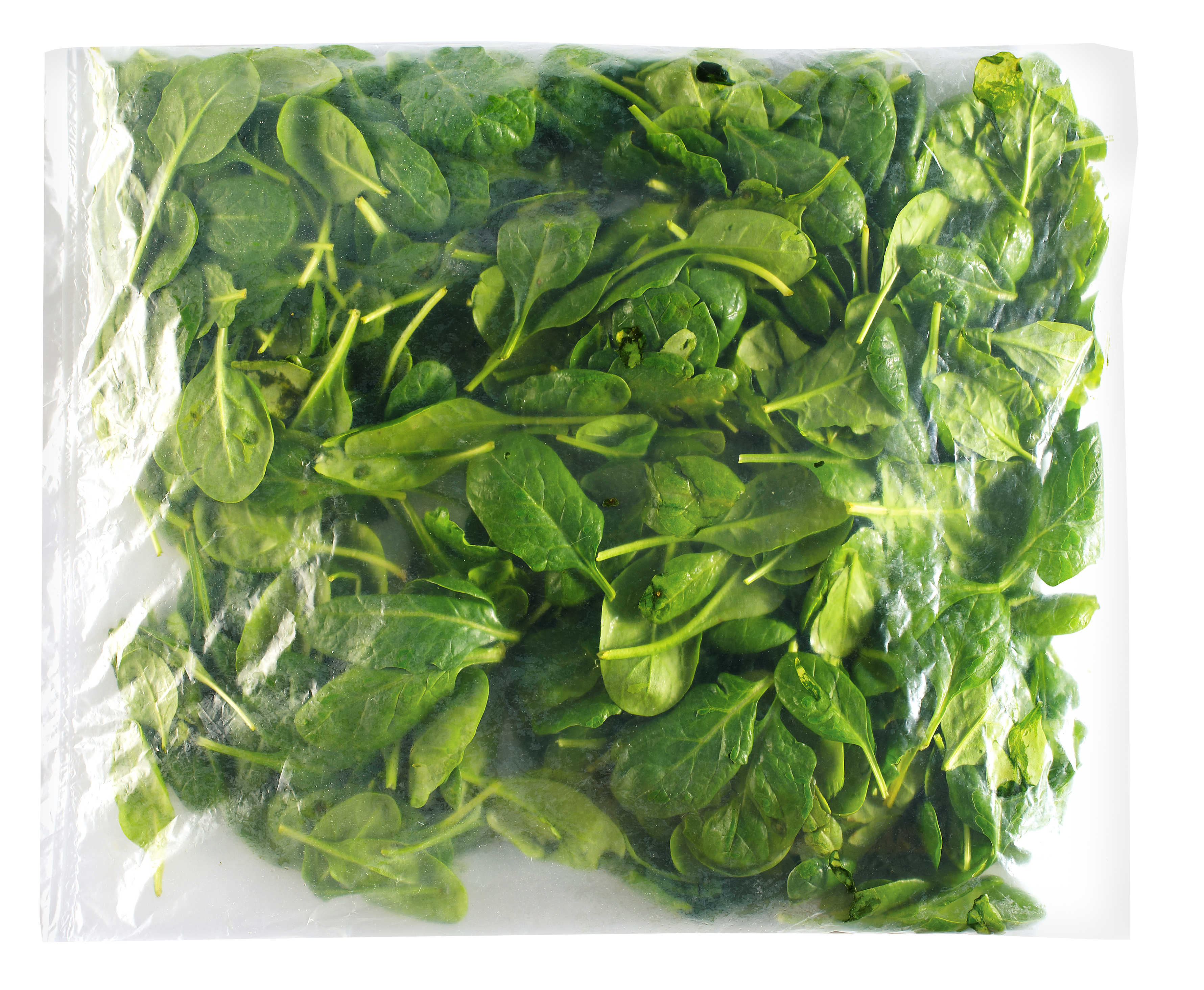 Szpinak Baby Polska 250G