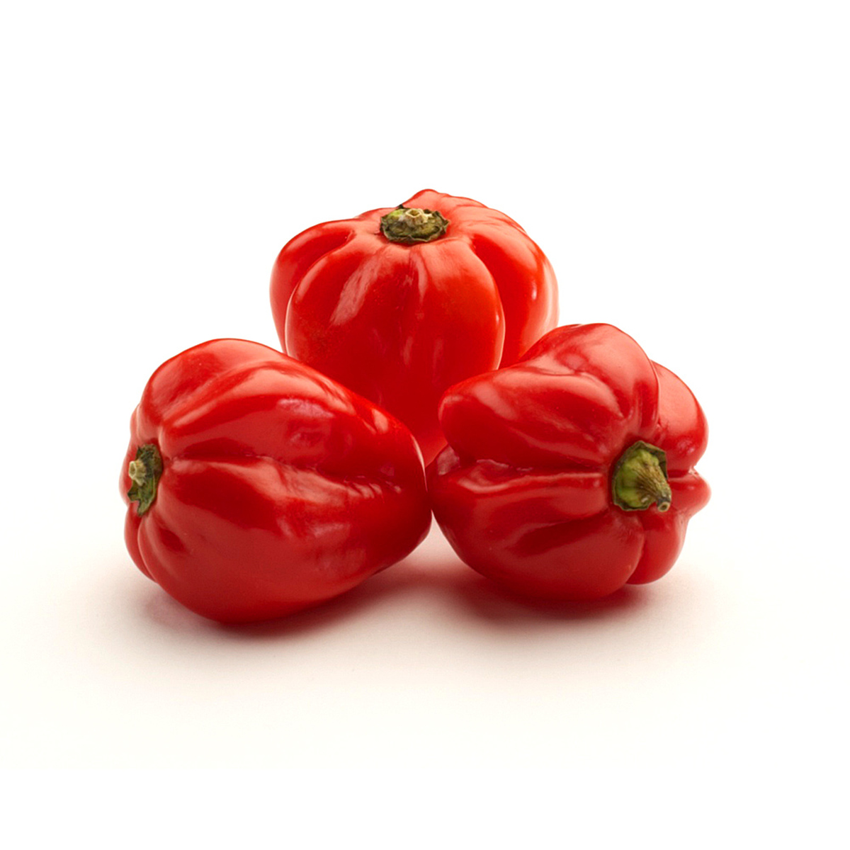 Papryka Ostra Habanero Holandia Luz