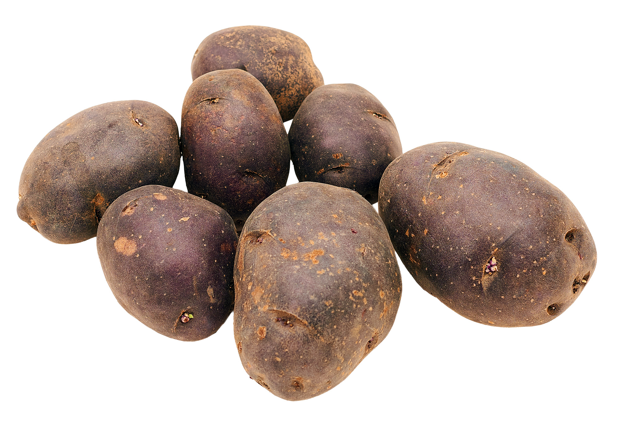 Ziemniak Jadalny Fioletowy Francja 5Kg