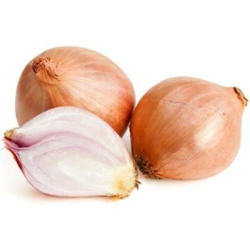 Cebula szalotka BIO