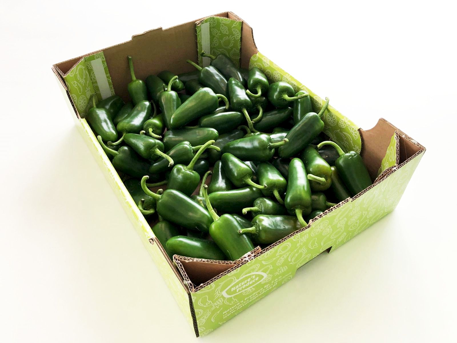 Papryka Ostra Jalapeno Holandia 2Kg