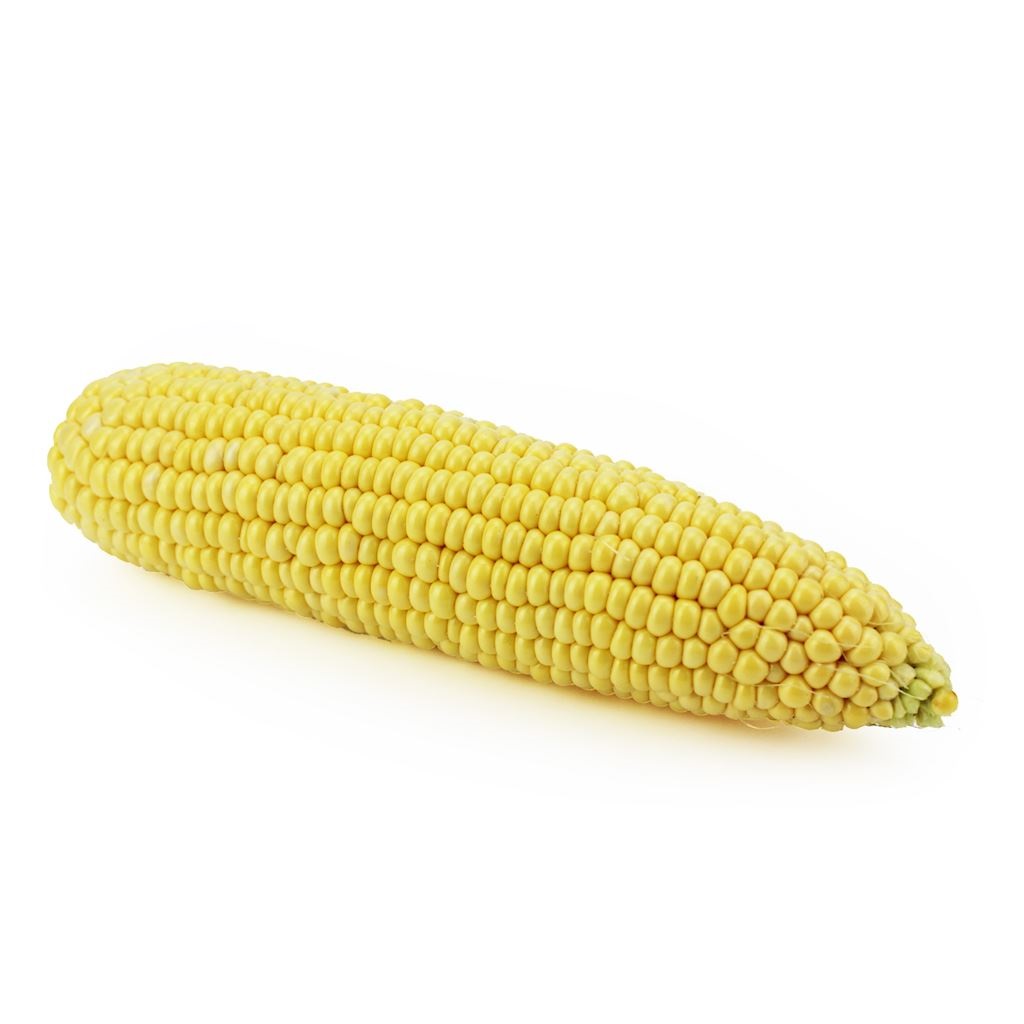 Kukurydza świeża BIO