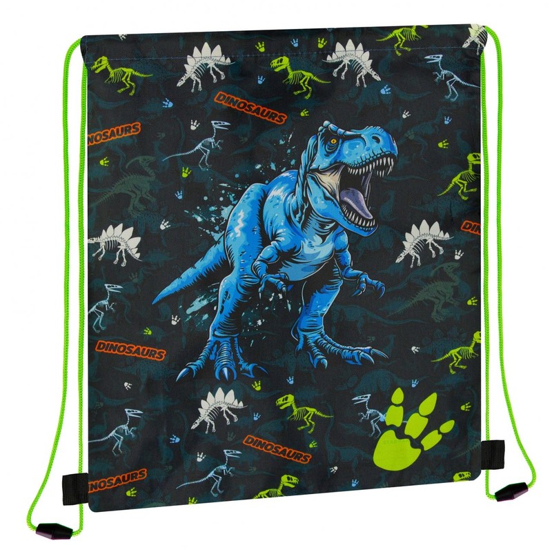 Worek na buty Dino STARPAK 1 sztuka