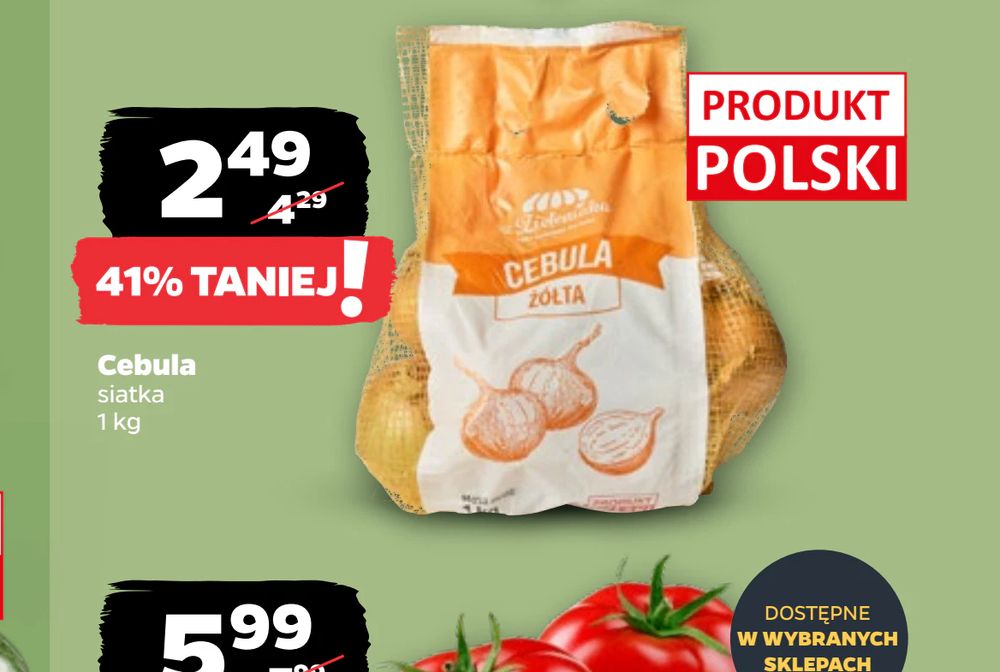 Cebula