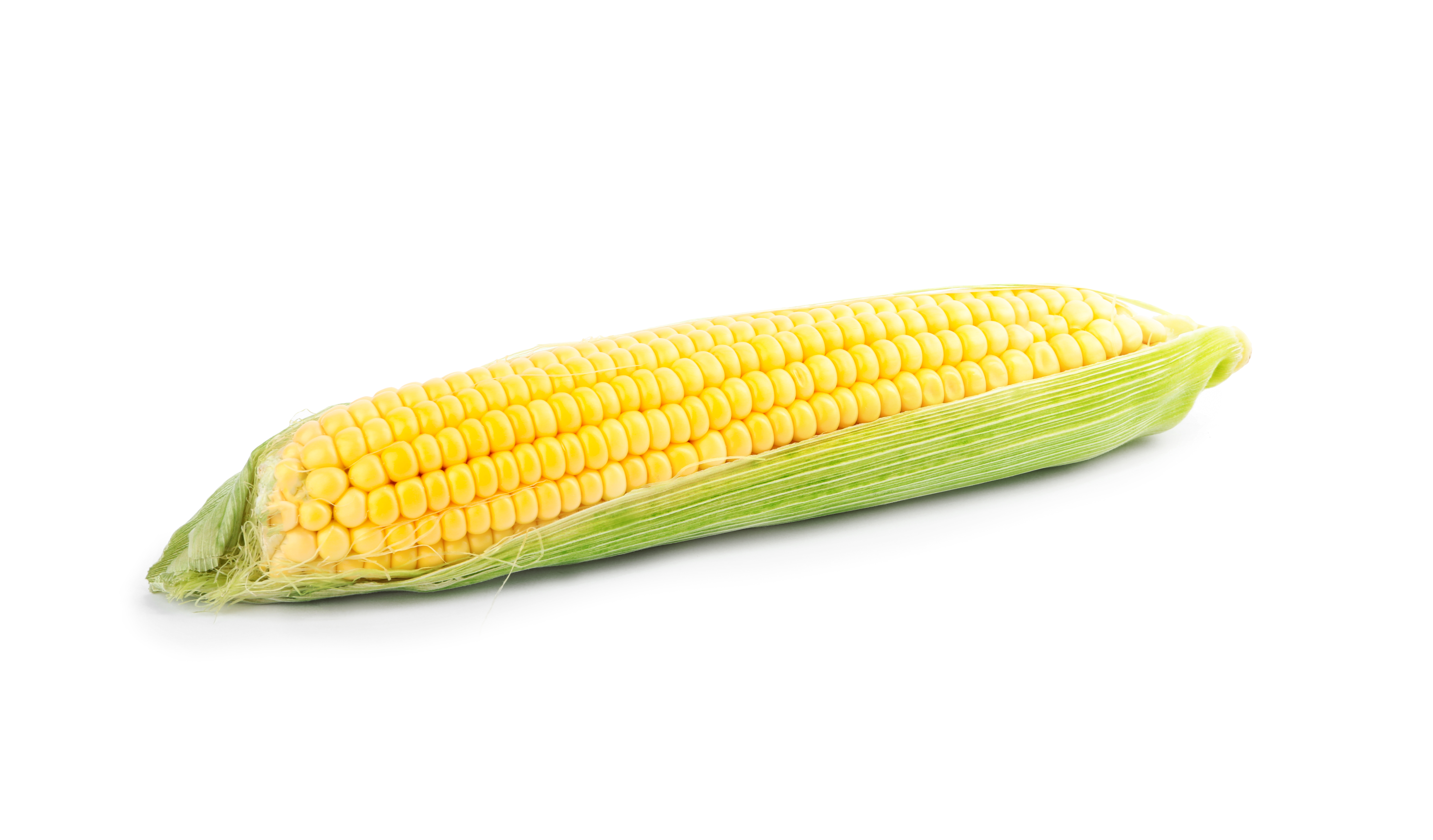 Kukurydza świeża BIO