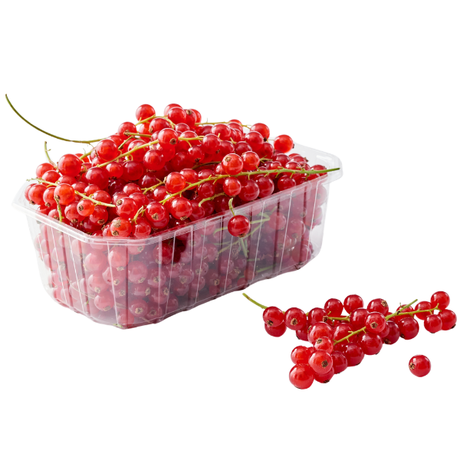 Porzeczki czerwone 125 g