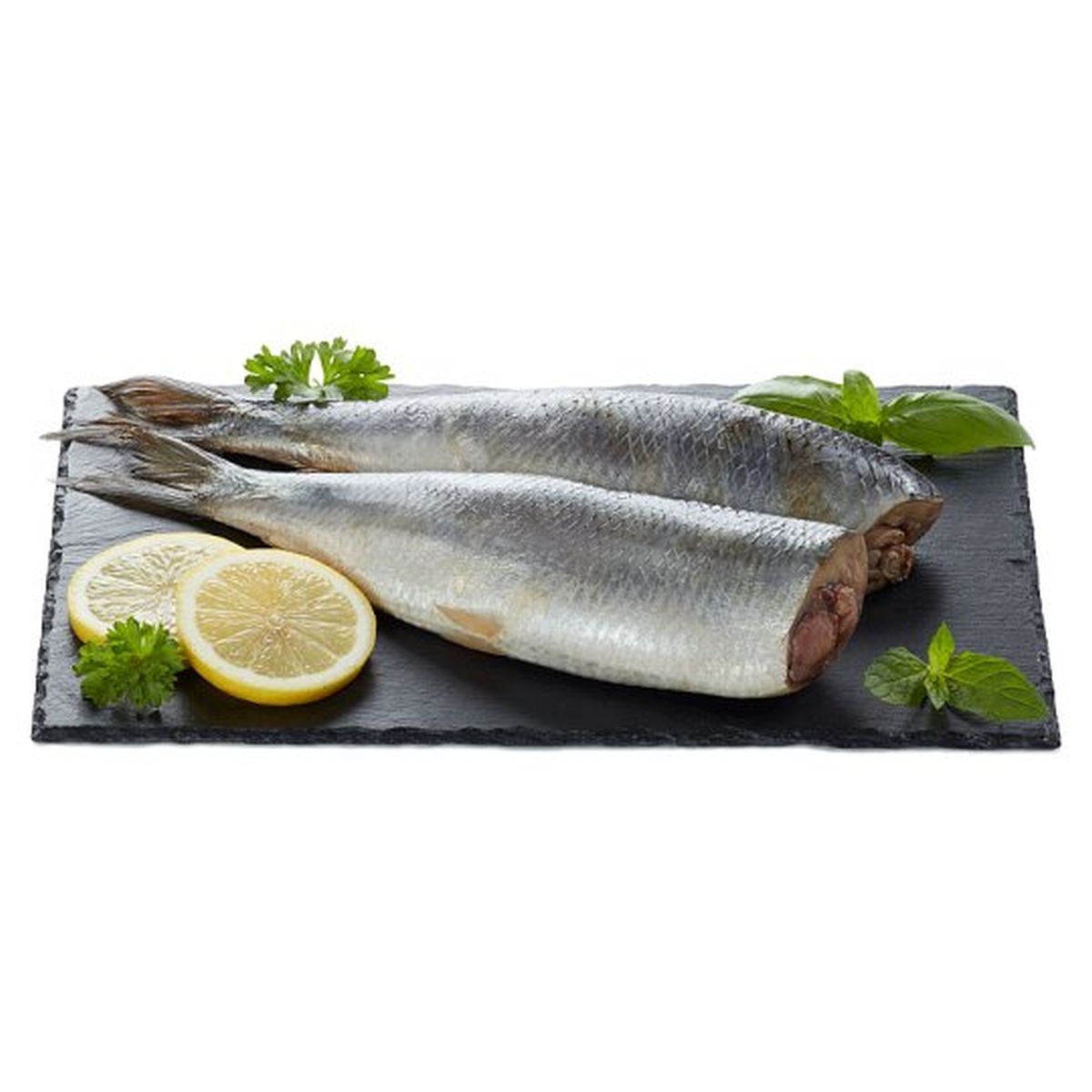 Śledź Tusza Solona Ok. 200-600G