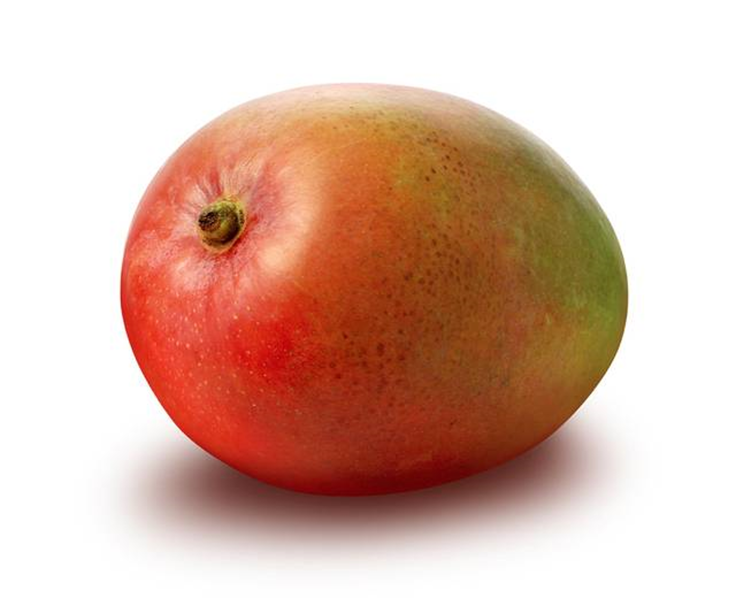 Mango Rte Dominikana 1Szt