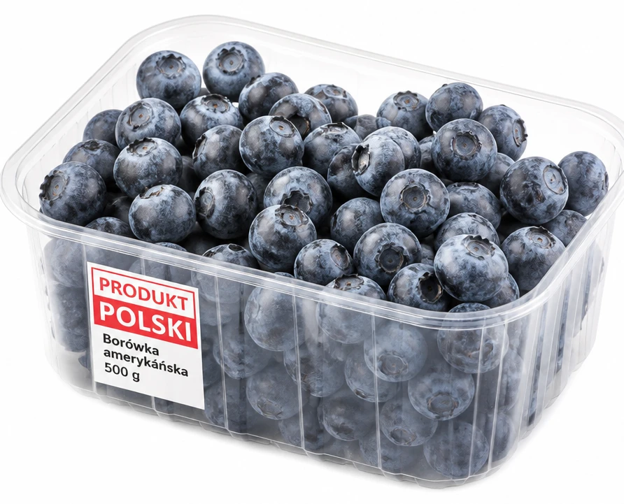 Borówka amerykańska